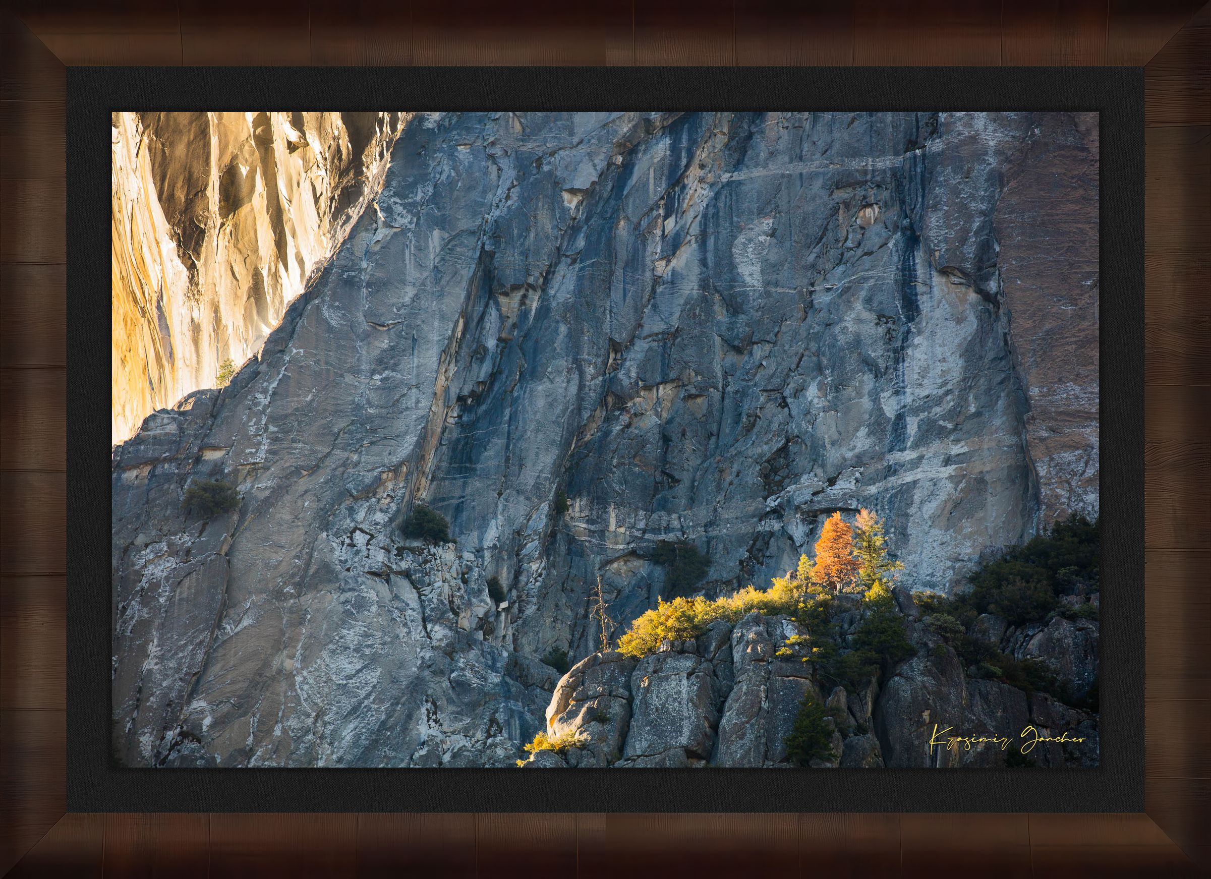 Granite monolith El Capitan in Yosemite National Park under daytime sunlight with a lone tree and clouds. #Finish_Roma Cigar Leaf Frame & Dark Liner