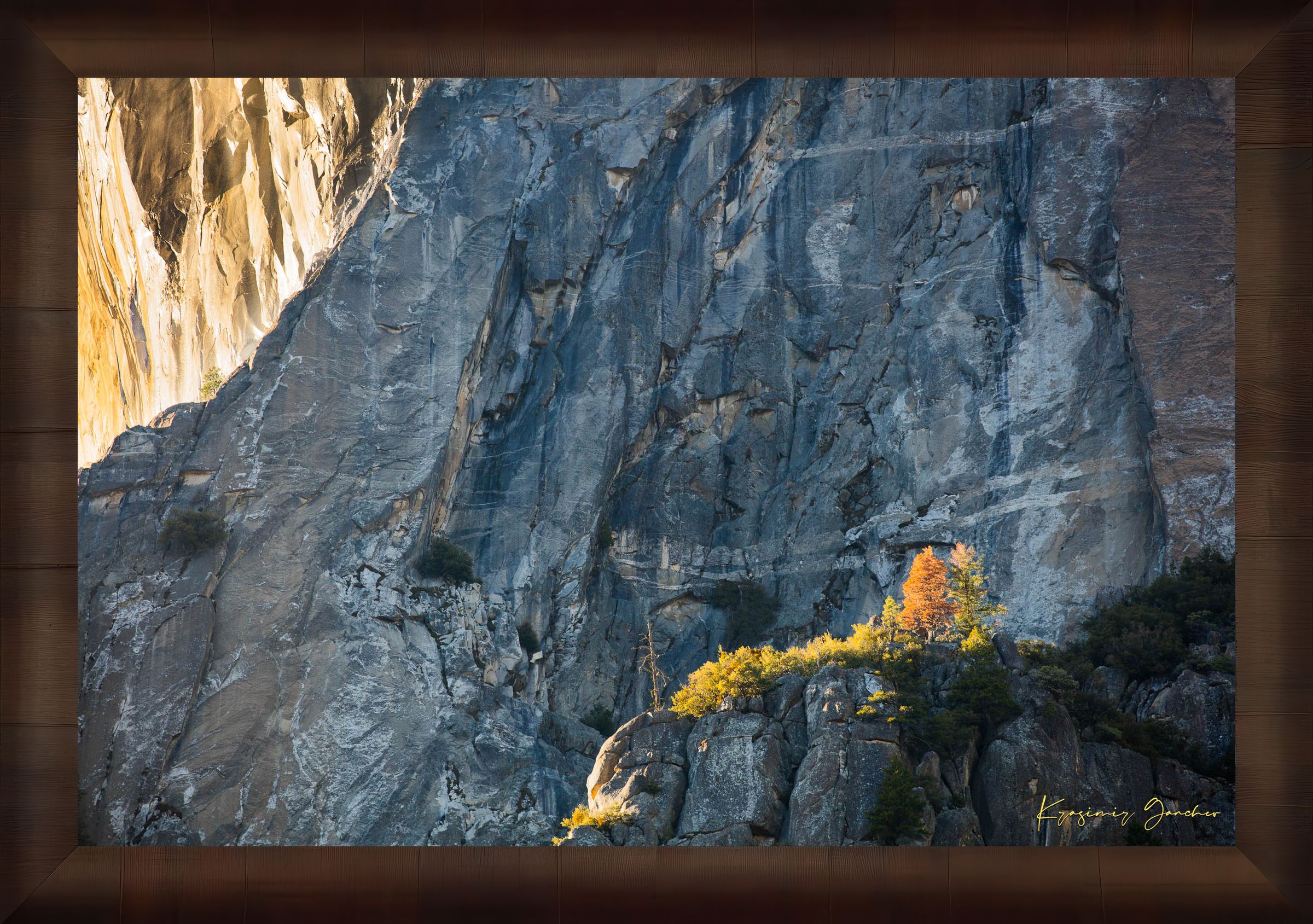 Granite monolith El Capitan in Yosemite National Park under daytime sunlight with a lone tree and clouds. #Finish_Roma Cigar Leaf Frame