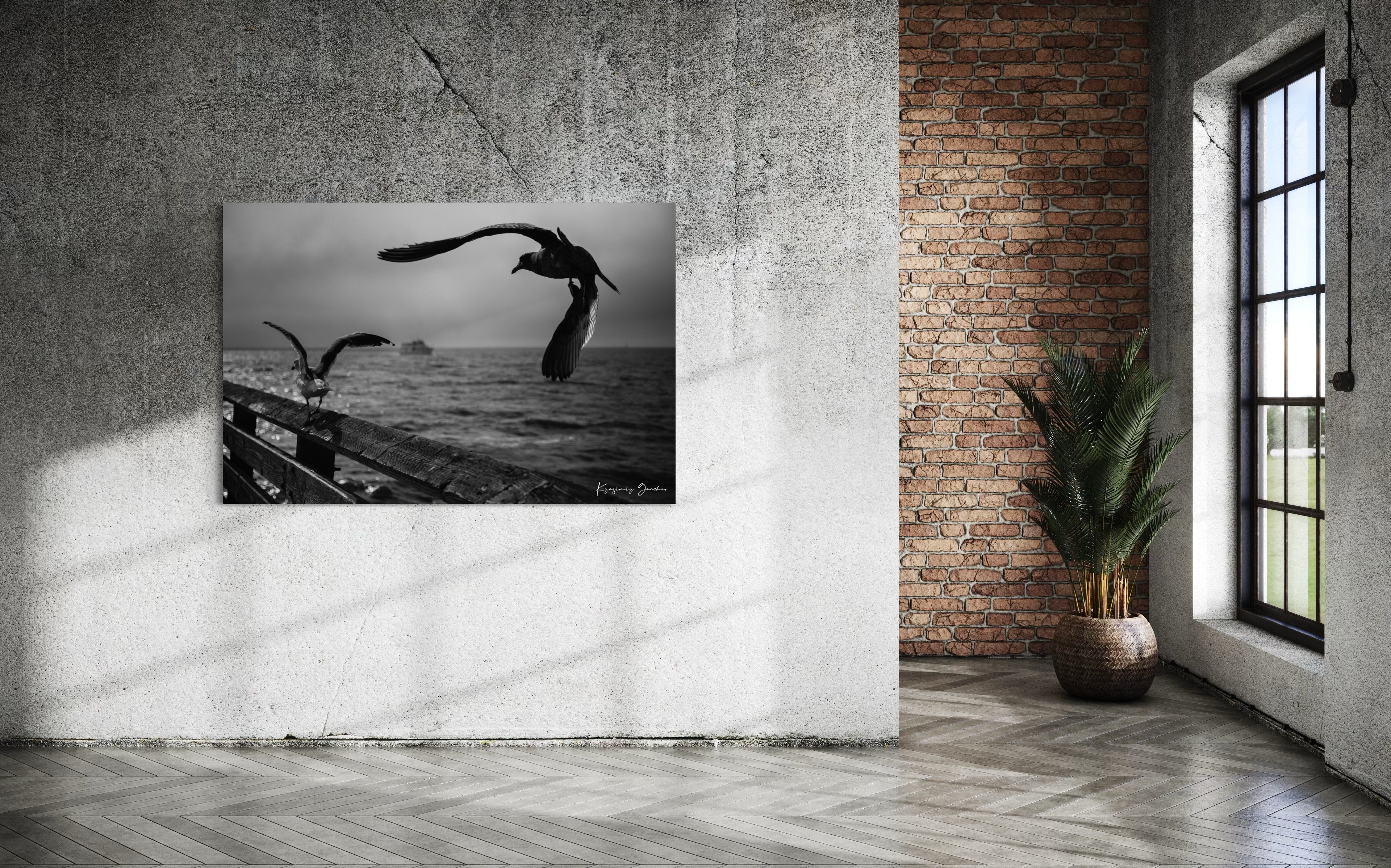 Seagulls in flight above Berkeley Pier on the San Francisco Bay, cloud-covered skies. #Finish_Acrylic Recess