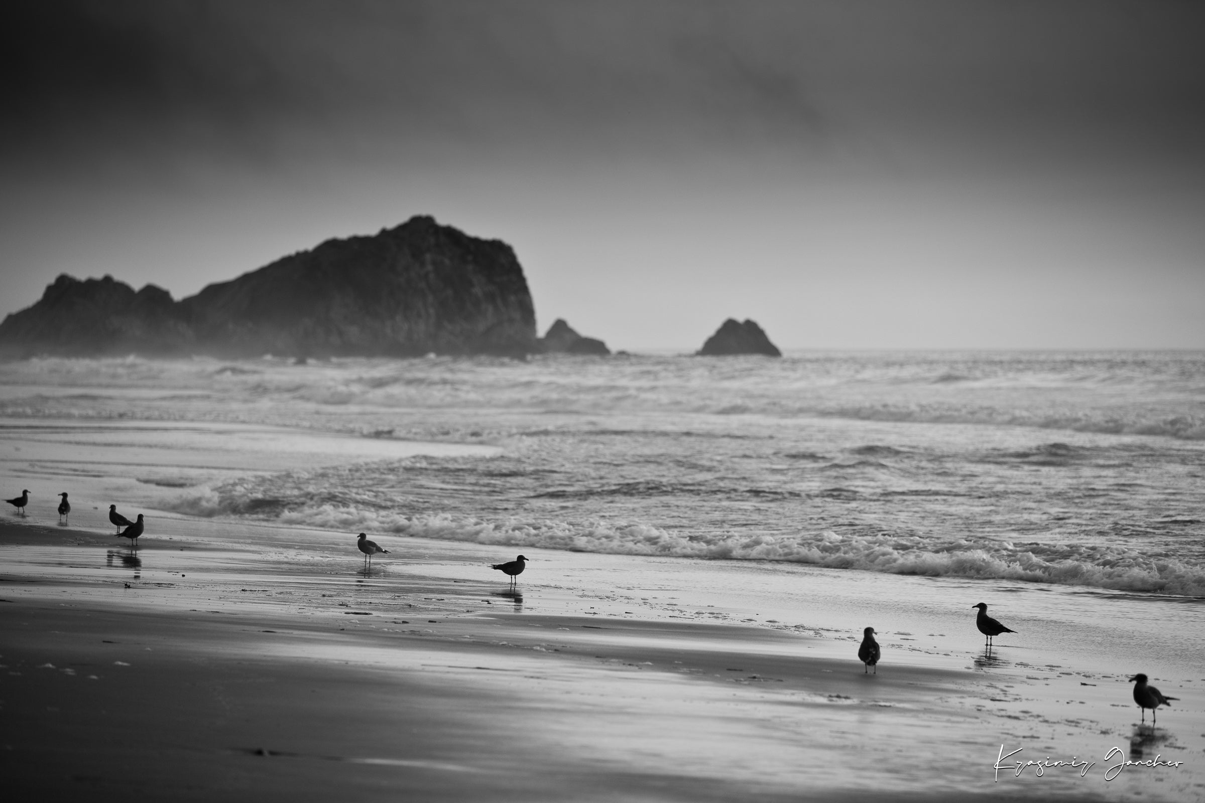 Monochrome coastal view of McClures Beach, featuring endless shoreline under cloudy skies with distant seabirds. #Finish_Acrylic Recess