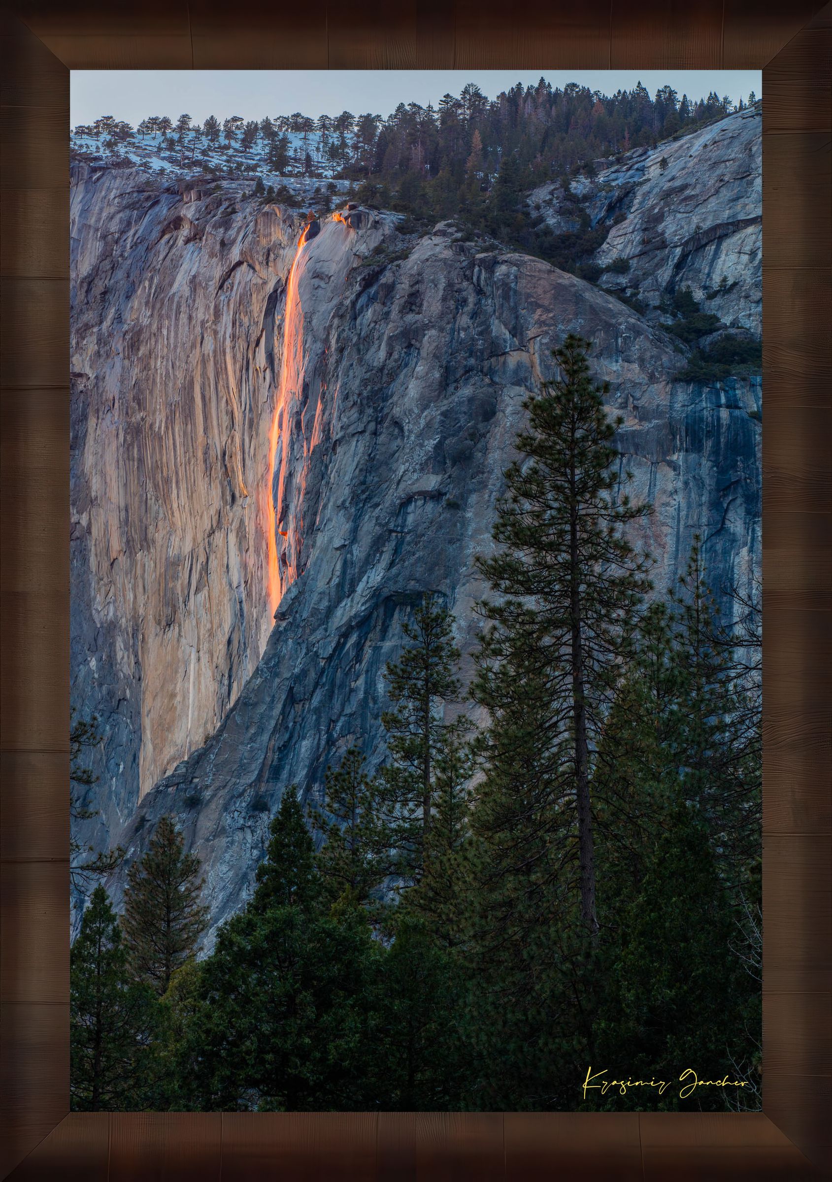 Firefall illuminated waterfall cascading on El Capitan monolith with foreground trees framing the scene during a cloudy sunset in Yosemite. #Finish_Roma Cigar Leaf Frame