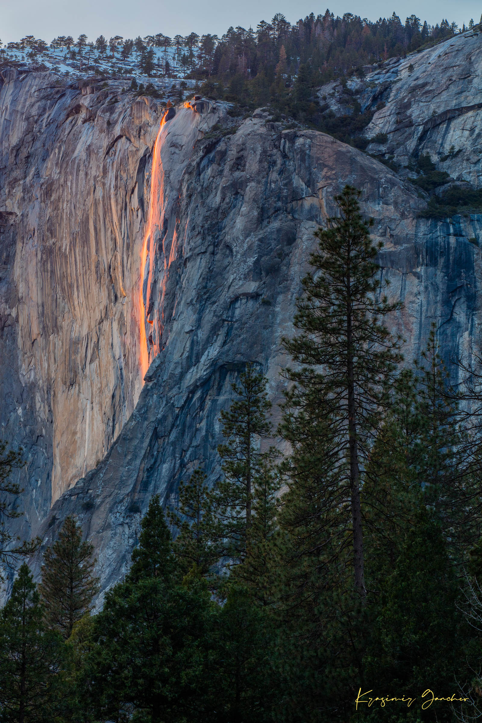 Firefall illuminated waterfall cascading on El Capitan monolith with foreground trees framing the scene during a cloudy sunset in Yosemite. #Finish_Acrylic Recess