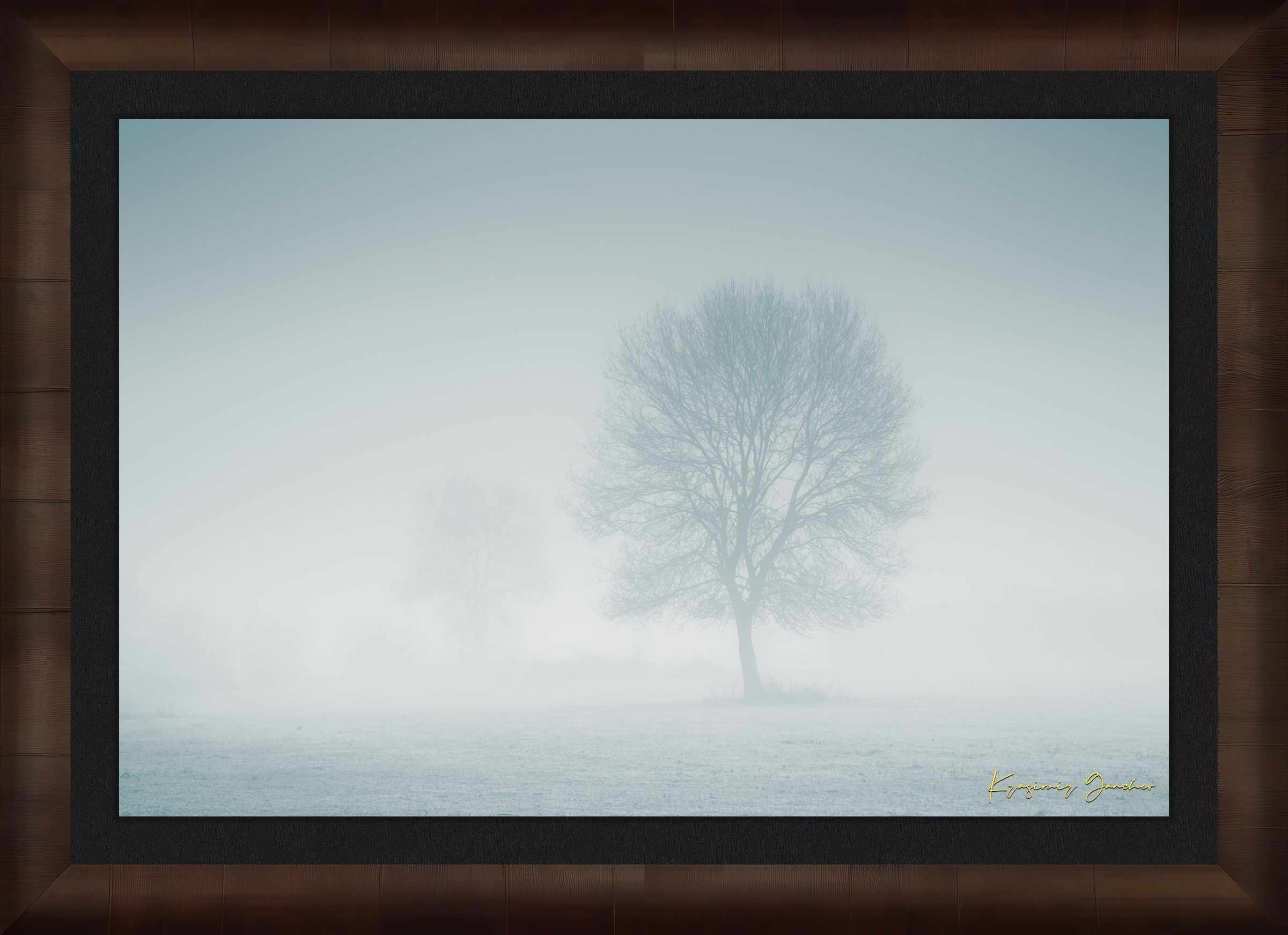 Solitary tree emerging from fog in Begliktash Valley near Primorsko at dawn. #Finish_Roma Cigar Leaf Frame & Dark Liner