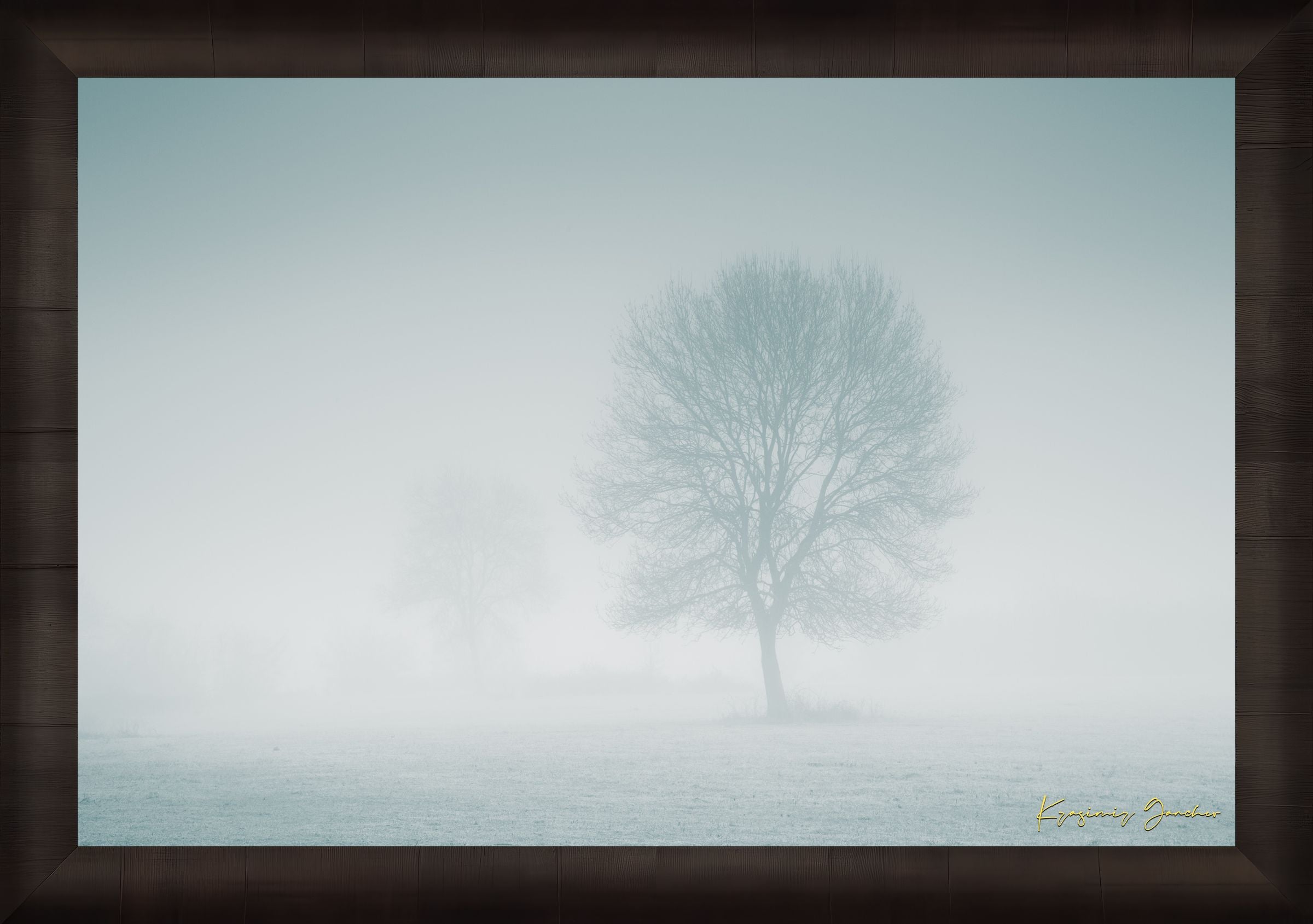 Solitary tree emerging from fog in Begliktash Valley near Primorsko at dawn. #Finish_Roma Dark Ash Frame