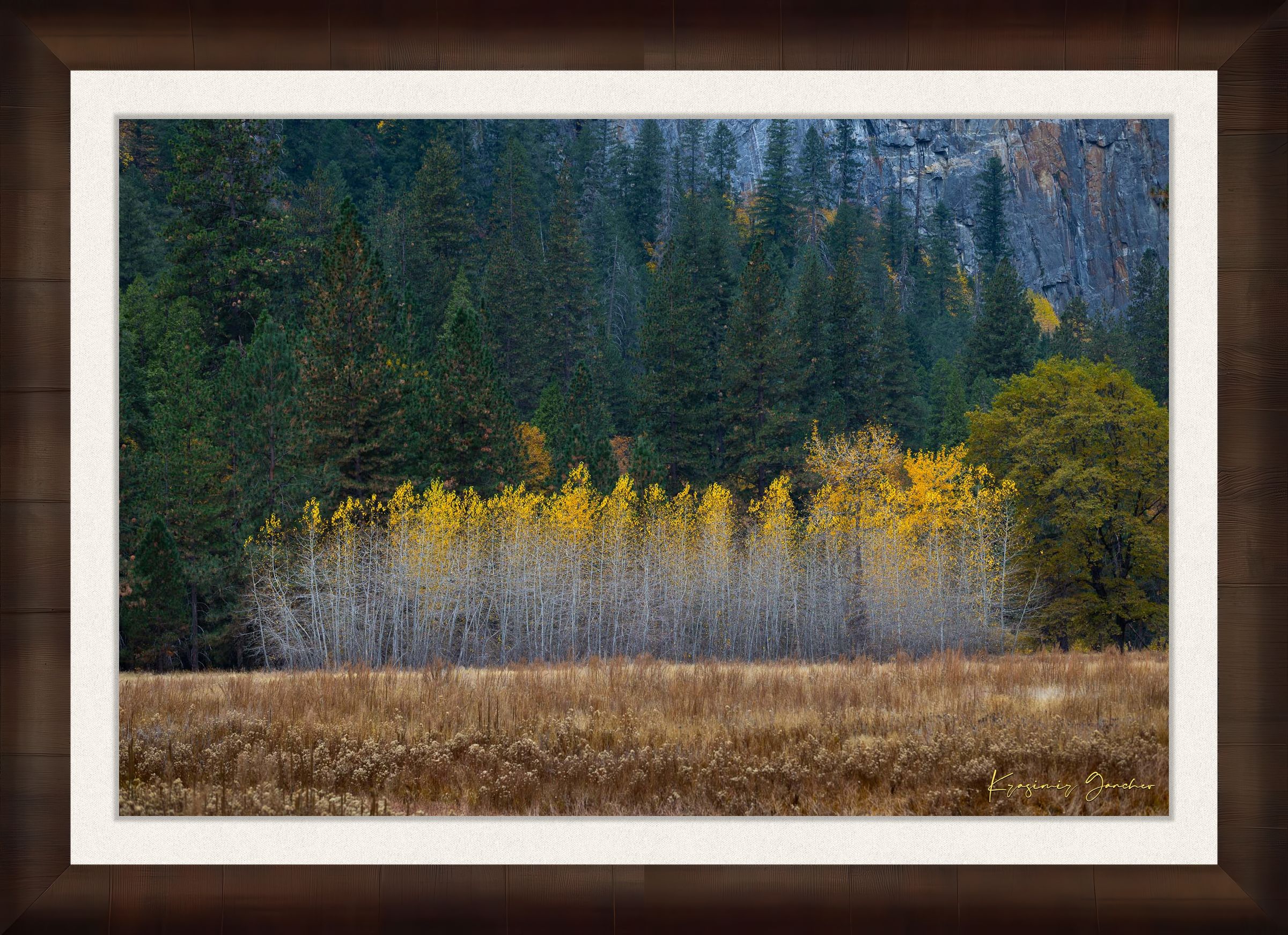 Yosemite Valley landscape with golden-hued trees under clear skies during daytime. #Finish_Roma Cigar Leaf Frame & Bright Liner