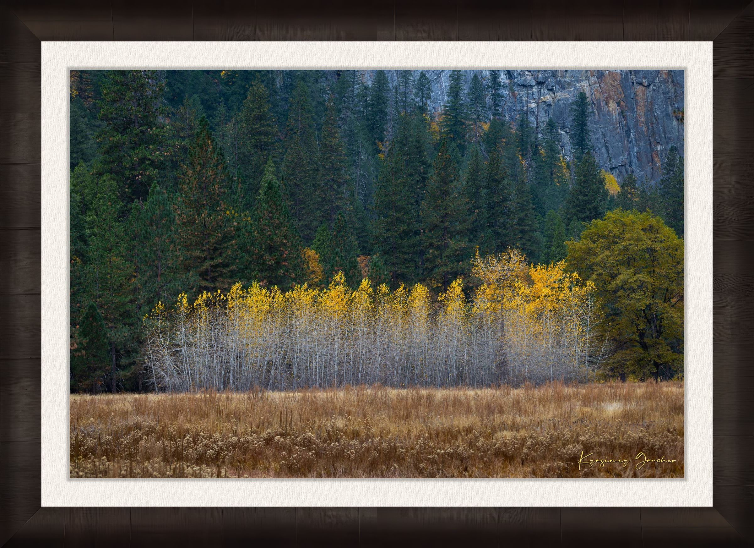 Yosemite Valley landscape with golden-hued trees under clear skies during daytime. #Finish_Roma Dark Ash Frame & Bright Liner