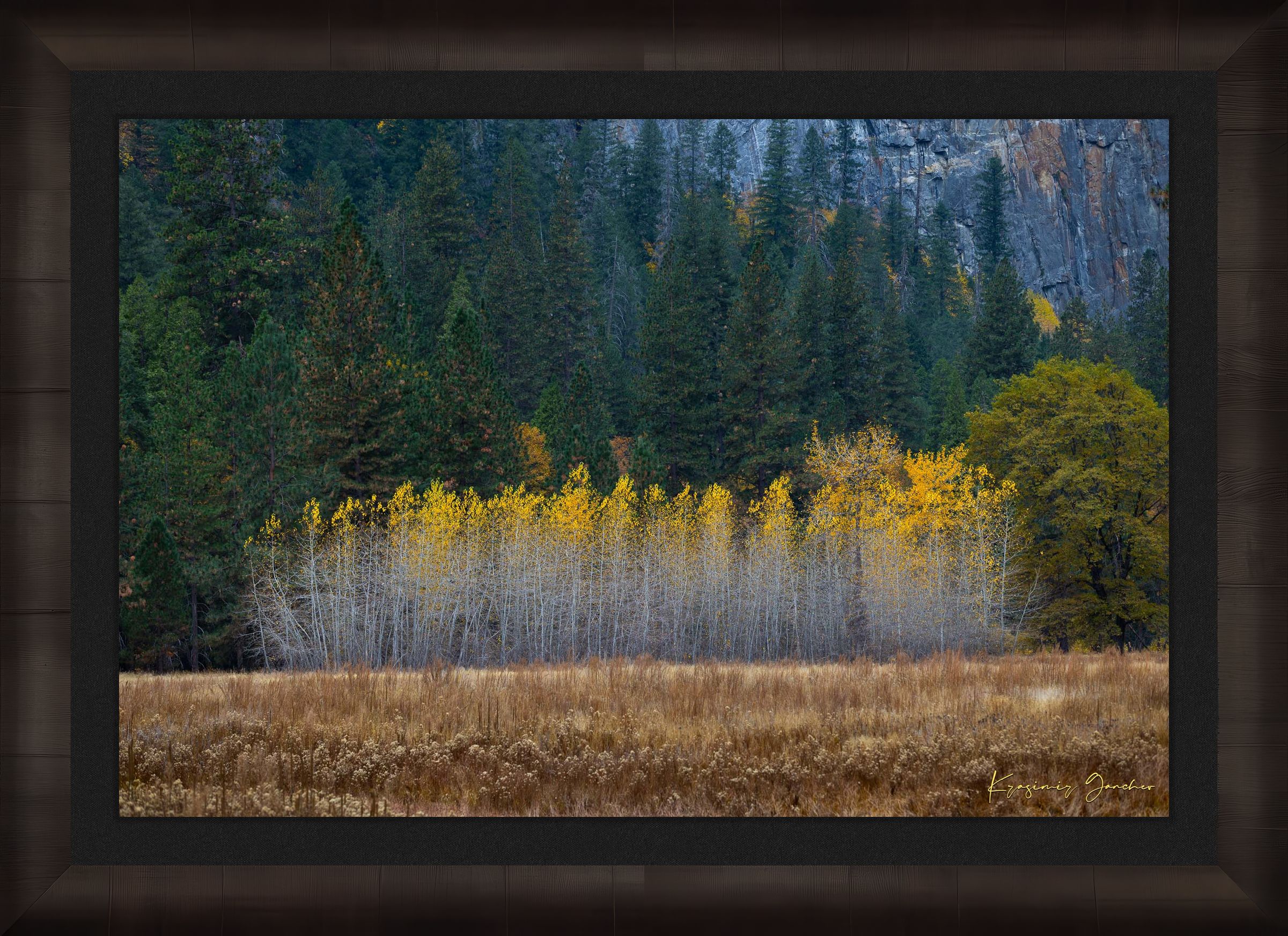 Yosemite Valley landscape with golden-hued trees under clear skies during daytime. #Finish_Roma Dark Ash Frame & Dark Liner