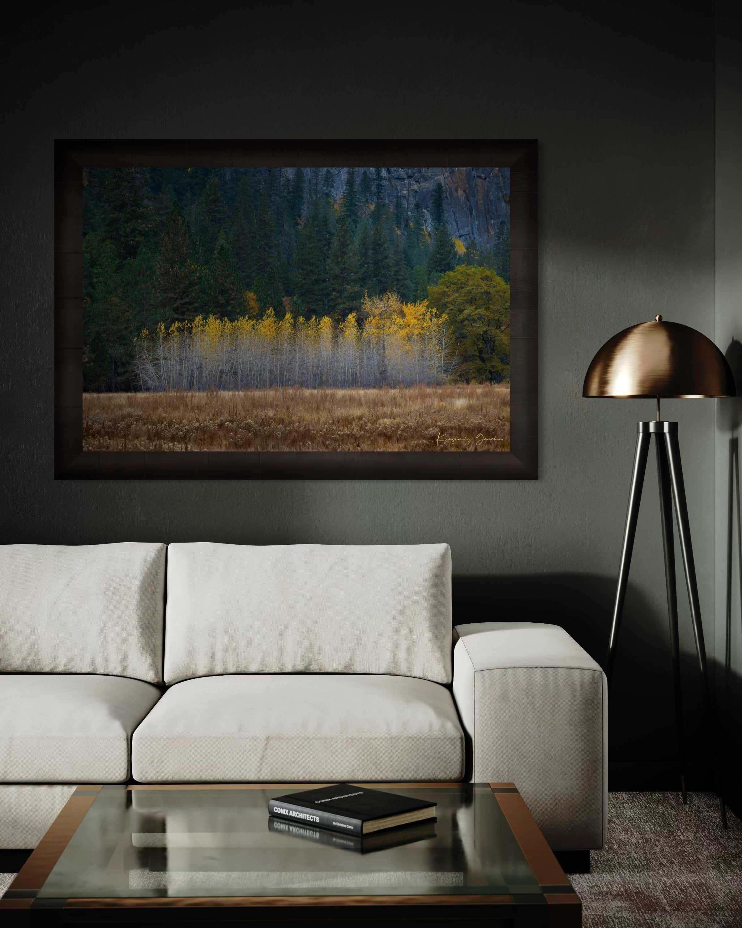 Yosemite Valley landscape with golden-hued trees under clear skies during daytime. #Finish_Roma Dark Ash Frame