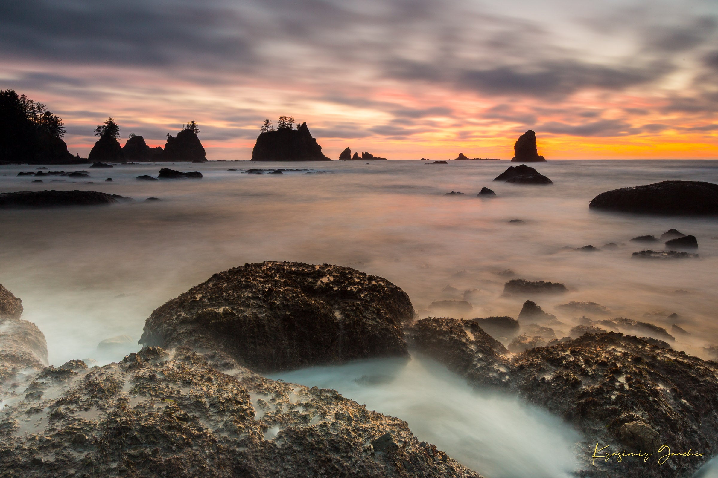 Silhouette of sea stacks against a twilight sky on Shi Shi Beach in Olympic National Park; gentle waves wash over wet sand during sunset. #Finish_Acrylic Recess