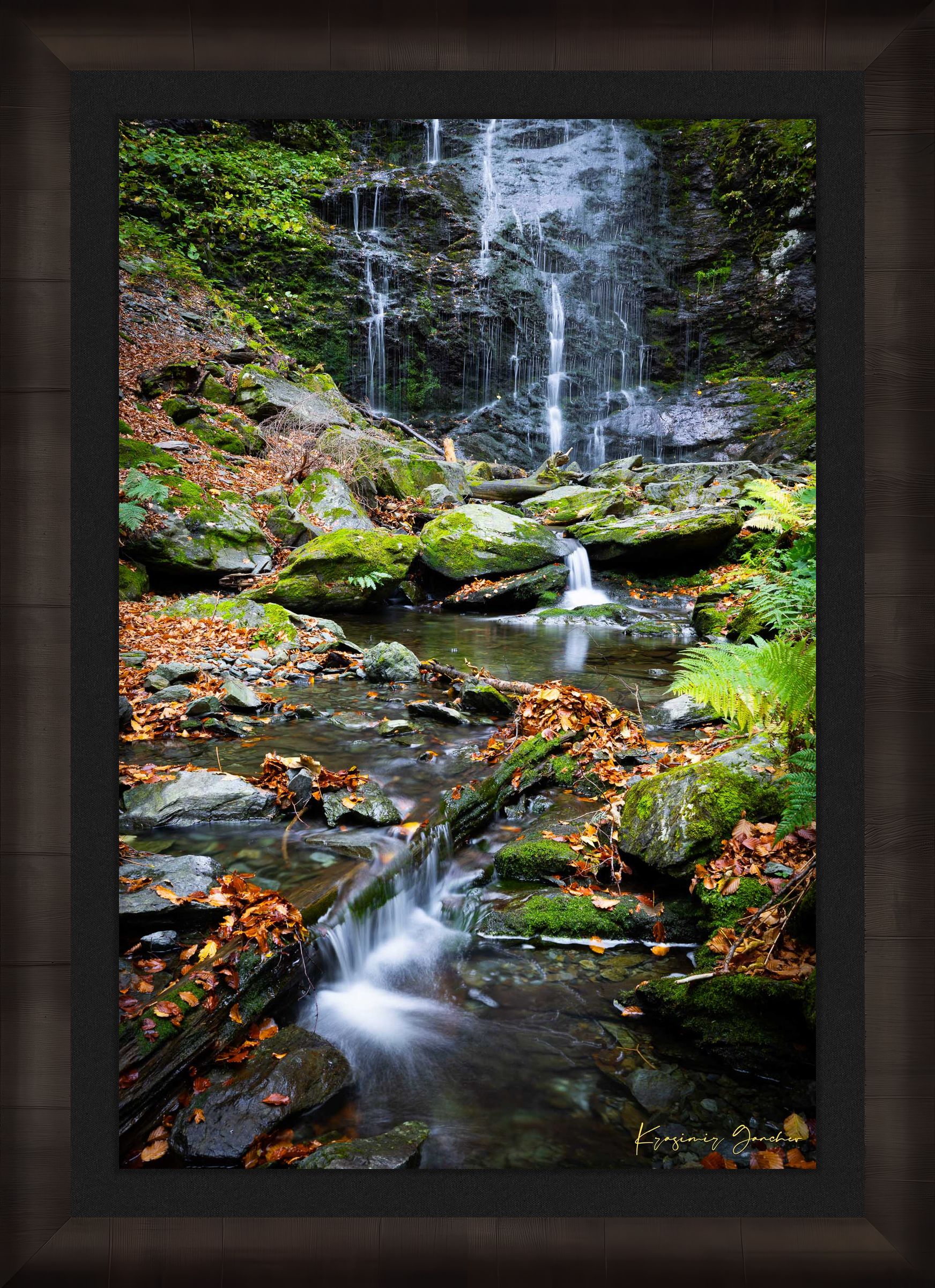 Waterfall flowing through mossy stones and fallen leaves in an autumnal forest within Stara Reka Reserve, Central Balkan National Park. #Finish_Roma Dark Ash Frame & Dark Liner
