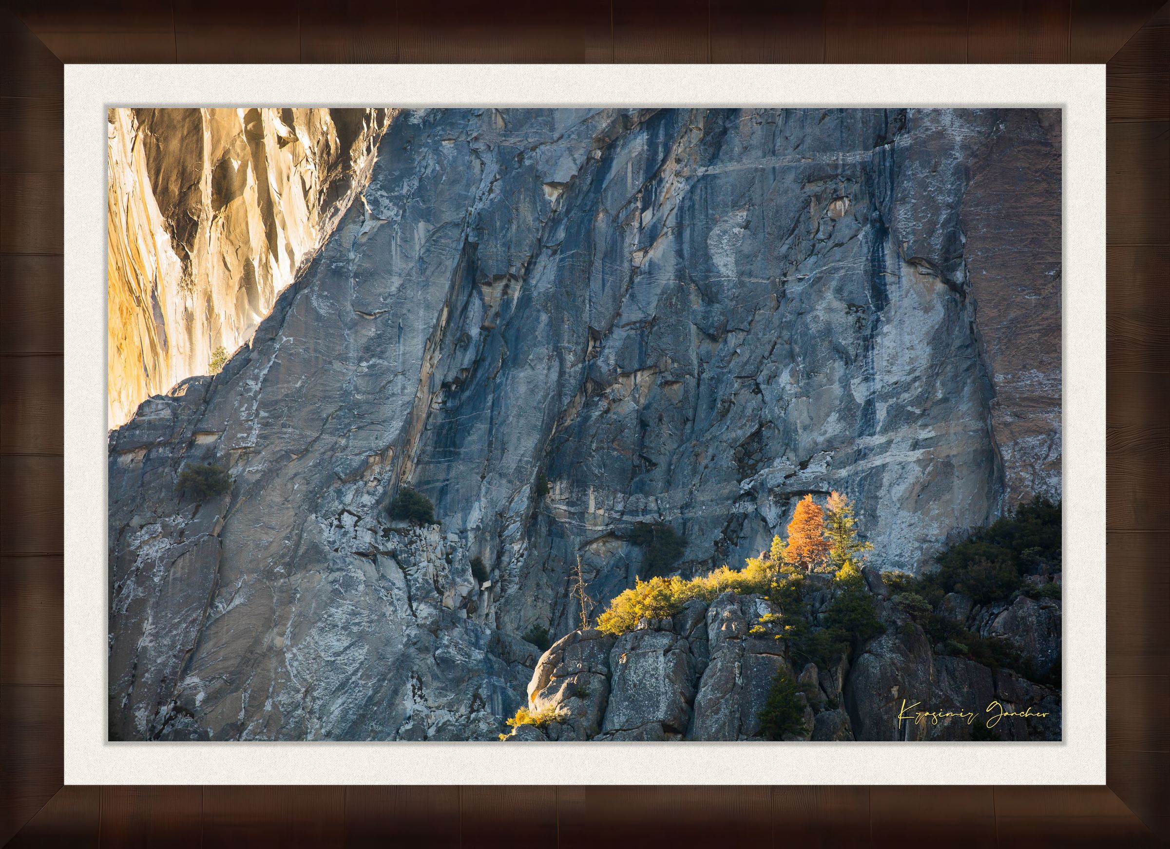 Granite monolith El Capitan in Yosemite National Park under daytime sunlight with a lone tree and clouds. #Finish_Roma Cigar Leaf Frame & Bright Liner