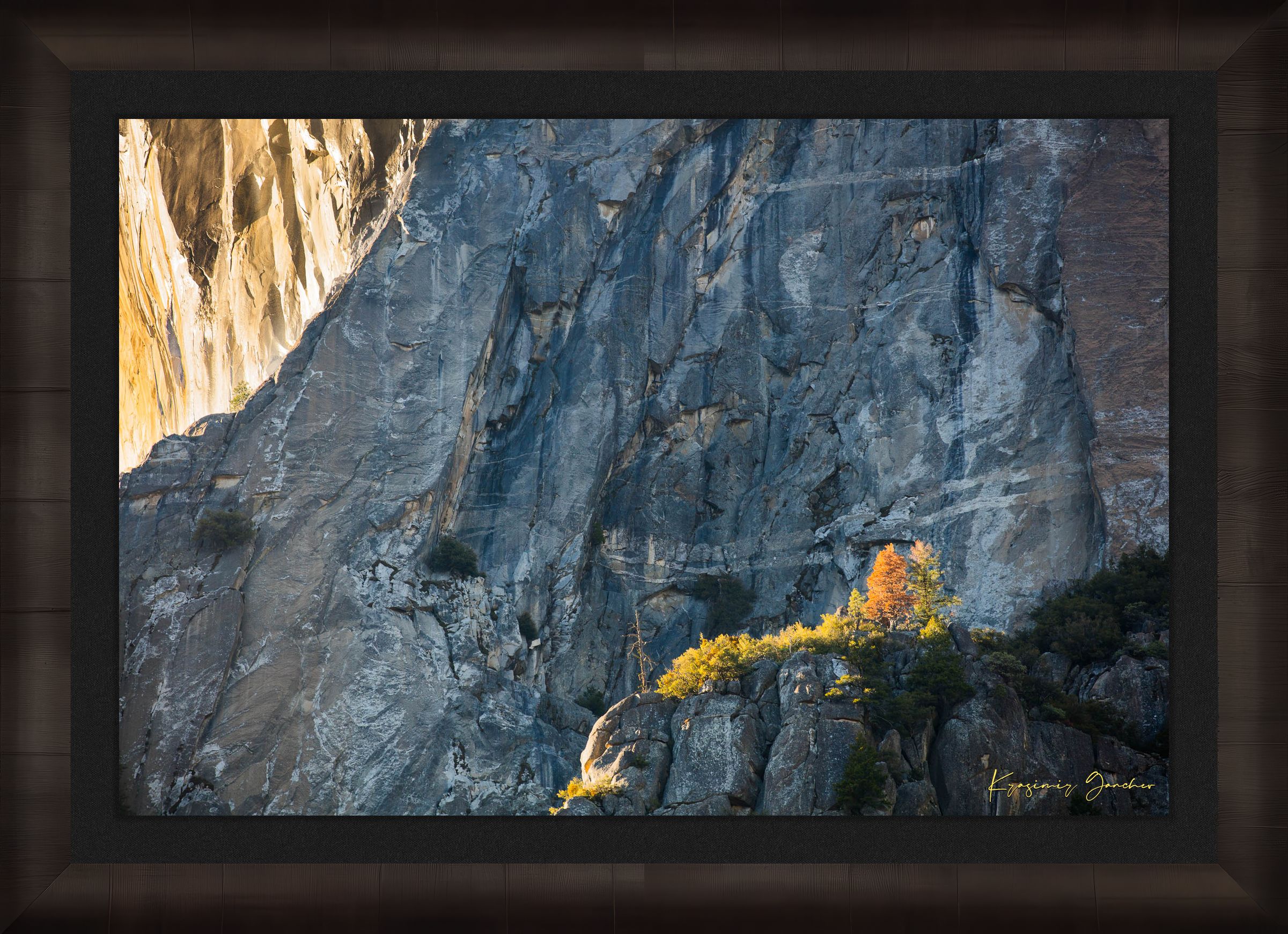 Granite monolith El Capitan in Yosemite National Park under daytime sunlight with a lone tree and clouds. #Finish_Roma Dark Ash Frame & Dark Liner