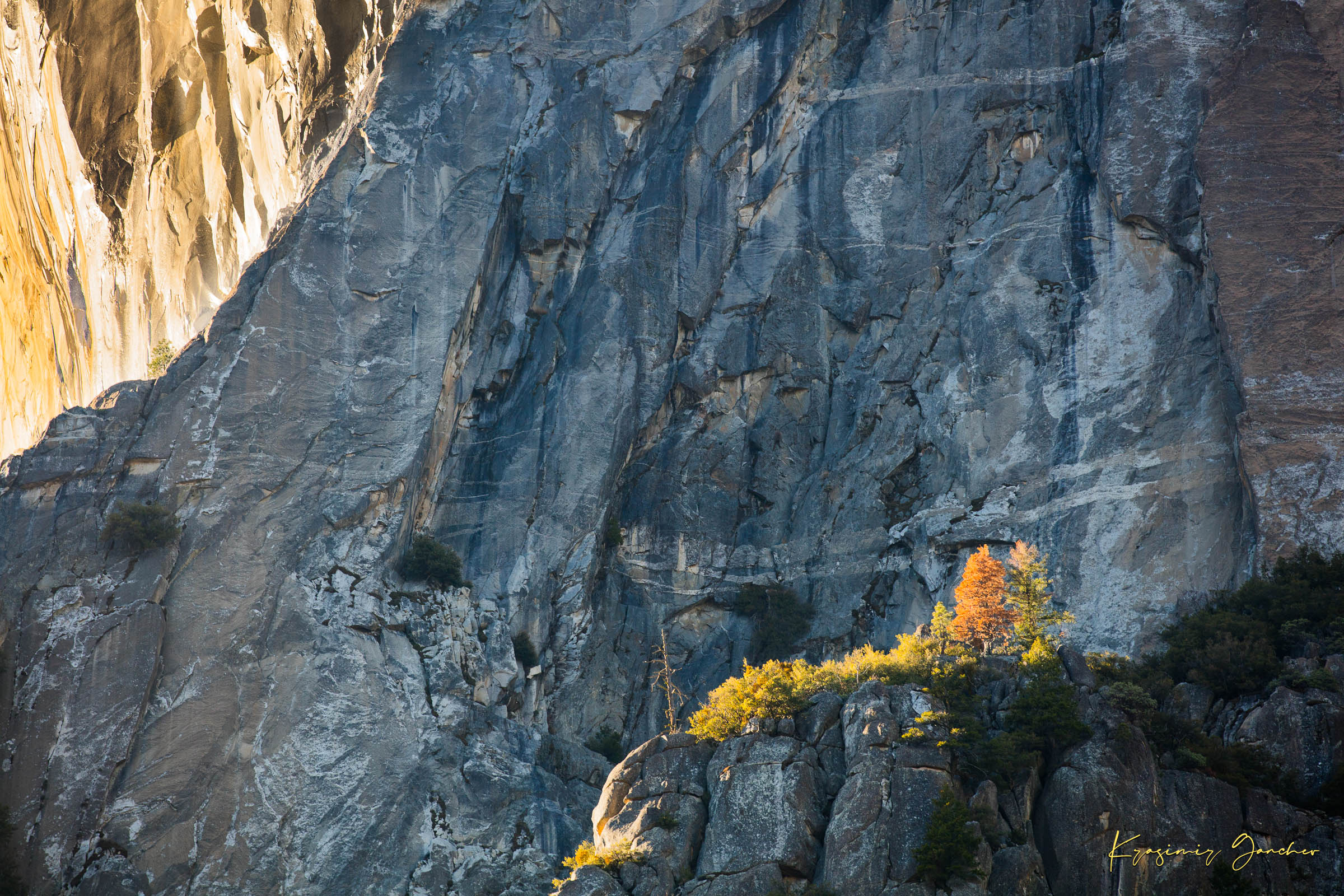Granite monolith El Capitan in Yosemite National Park under daytime sunlight with a lone tree and clouds. #Finish_Acrylic Recess