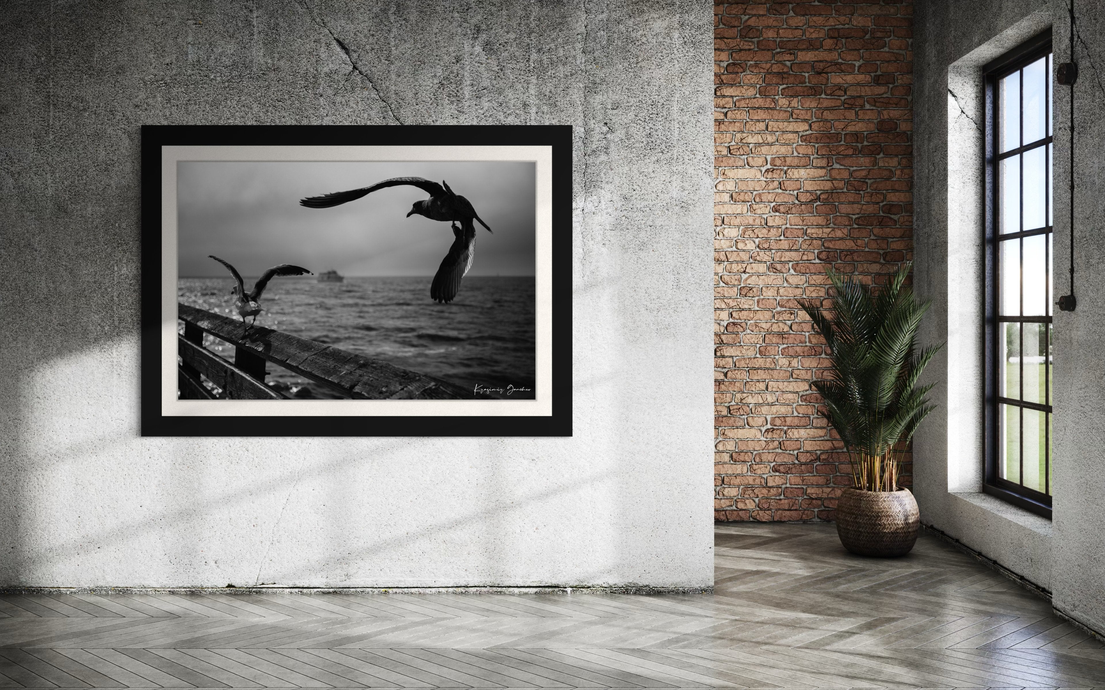 Seagulls in flight above Berkeley Pier on the San Francisco Bay, cloud-covered skies. #Finish_Roma Satin Black Frame & Bright Liner