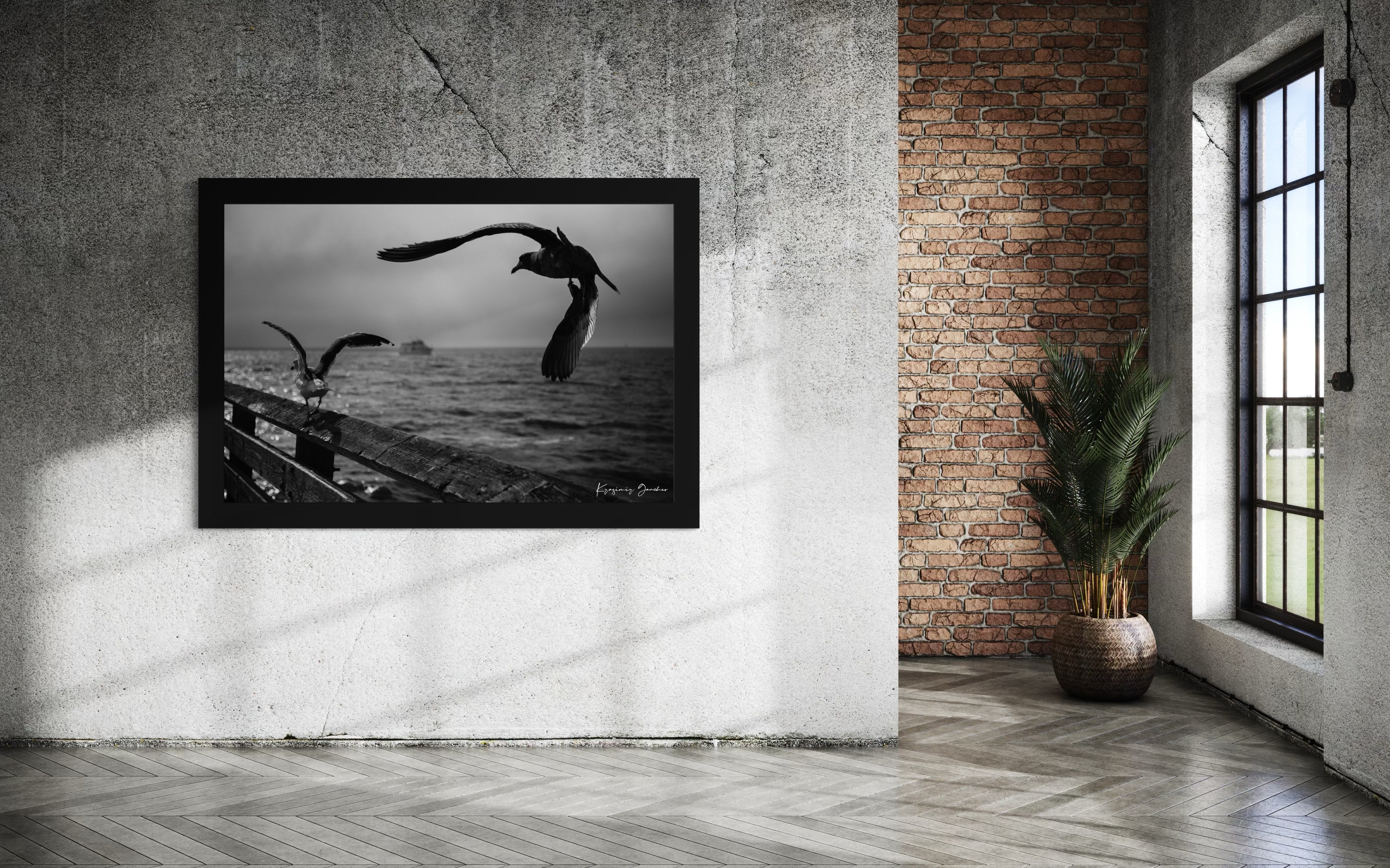 Seagulls in flight above Berkeley Pier on the San Francisco Bay, cloud-covered skies. #Finish_Roma Satin Black Frame