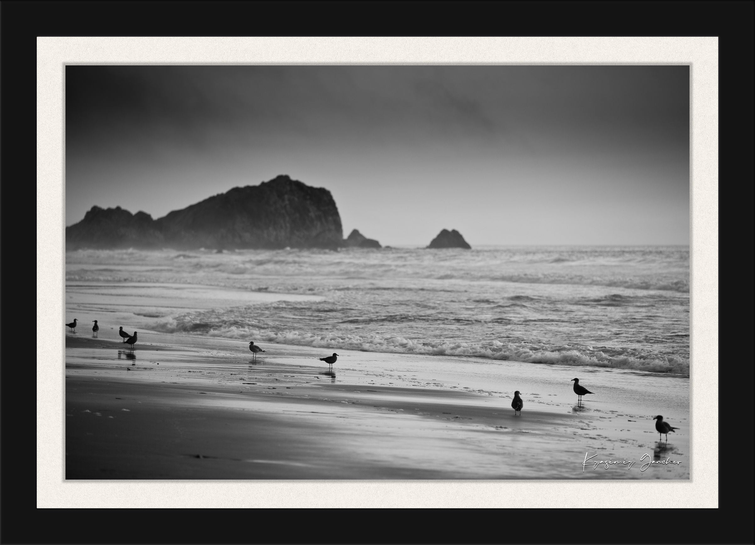 Monochrome coastal view of McClures Beach, featuring endless shoreline under cloudy skies with distant seabirds. #Finish_Roma Satin Black Frame & Bright Liner