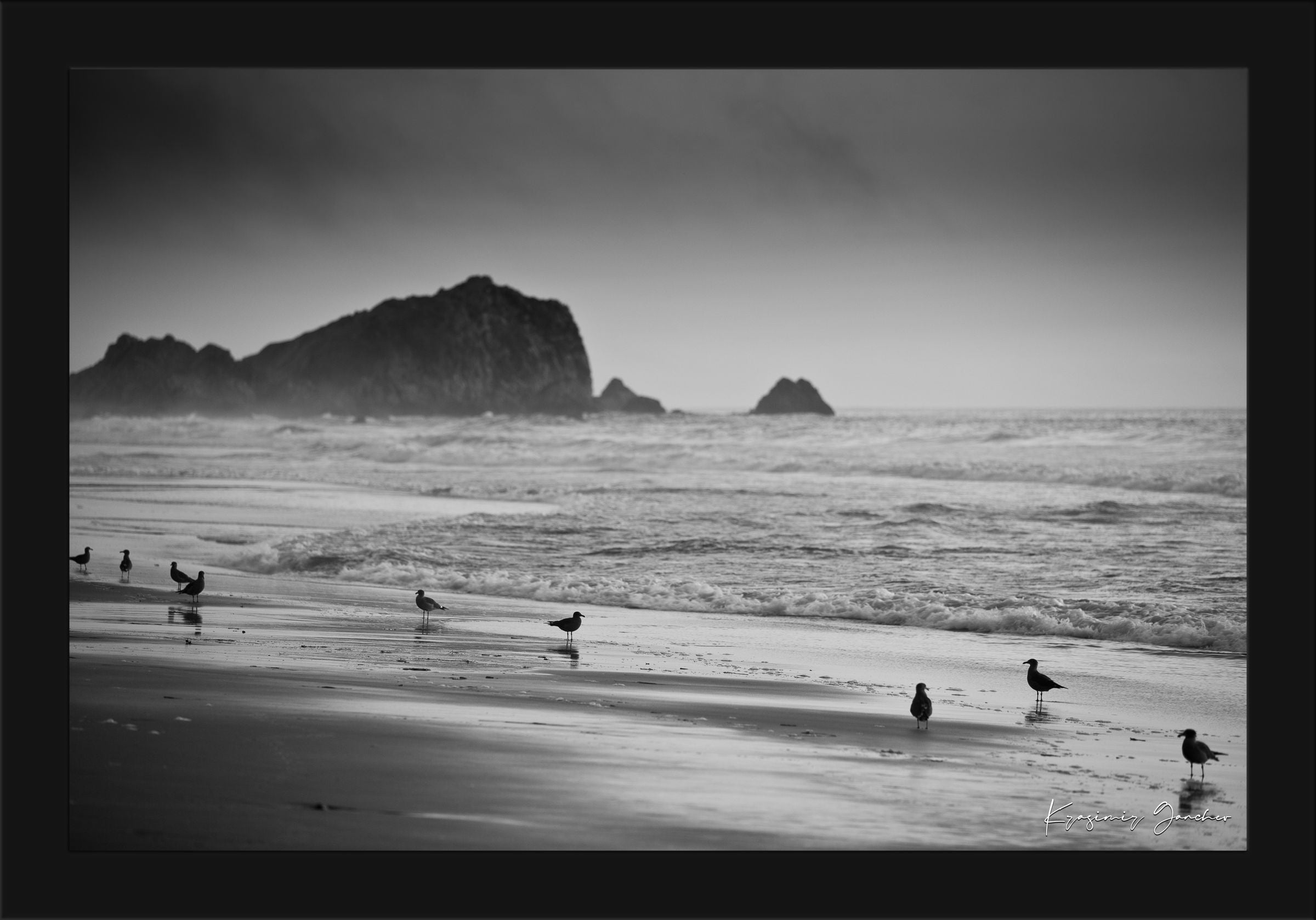 Monochrome coastal view of McClures Beach, featuring endless shoreline under cloudy skies with distant seabirds. #Finish_Roma Satin Black Frame