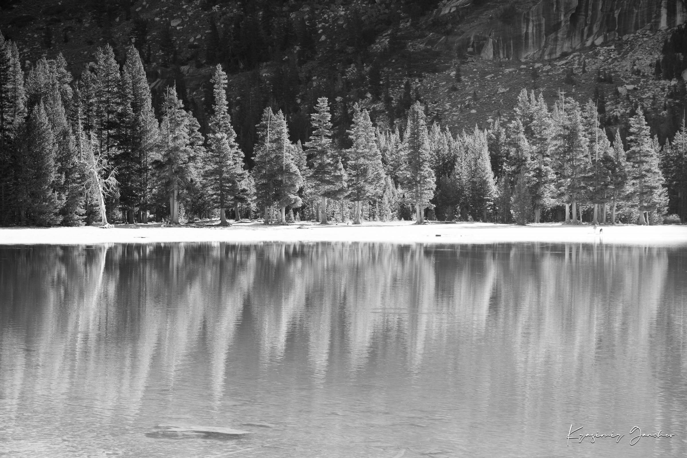 Still mirror-like lake surrounded by pines under clear daylight in Yosemite National Park, showing perfect symmetry. #Finish_Acrylic Recess