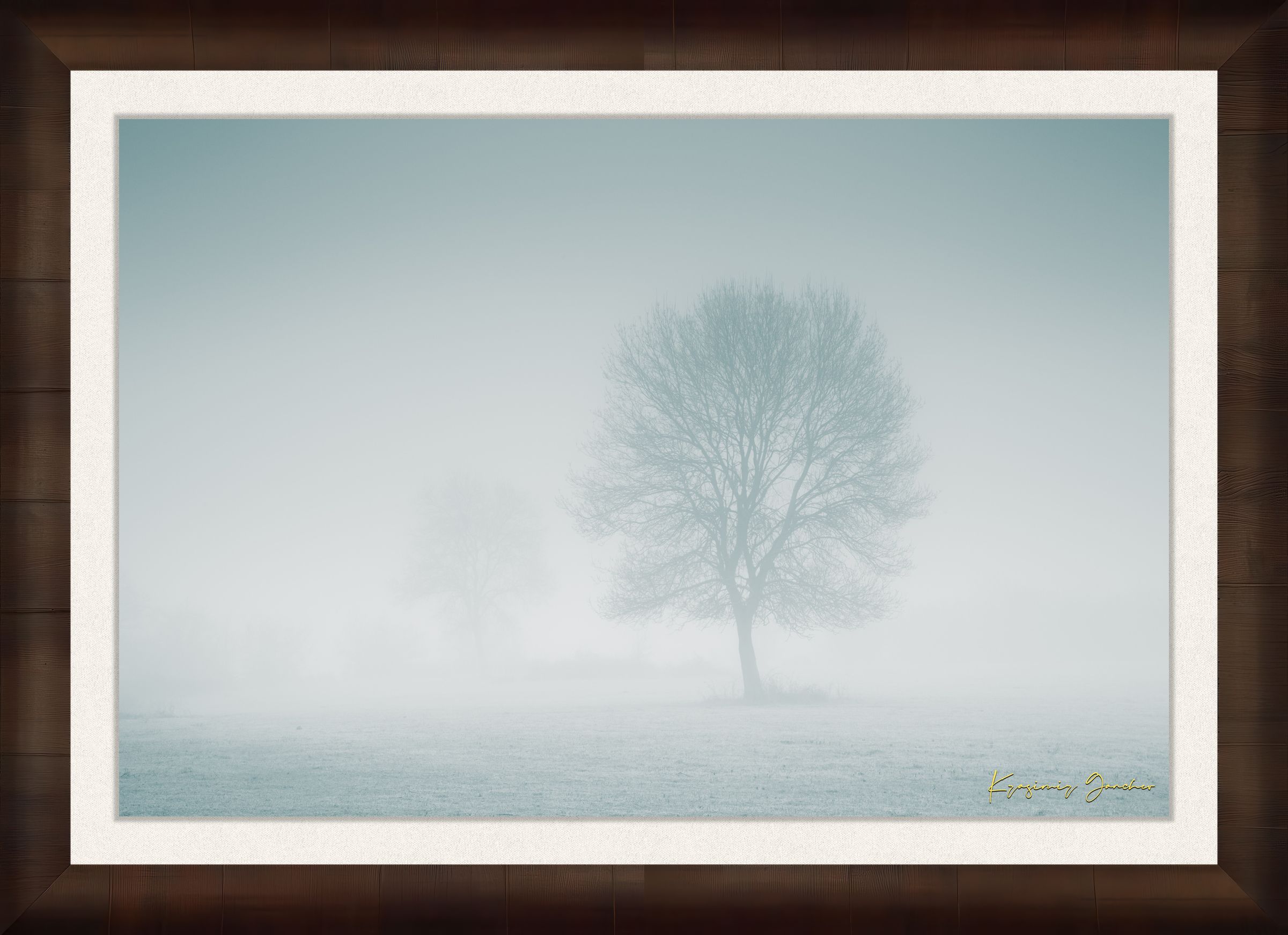 Solitary tree emerging from fog in Begliktash Valley near Primorsko at dawn. #Finish_Roma Cigar Leaf Frame & Bright Liner