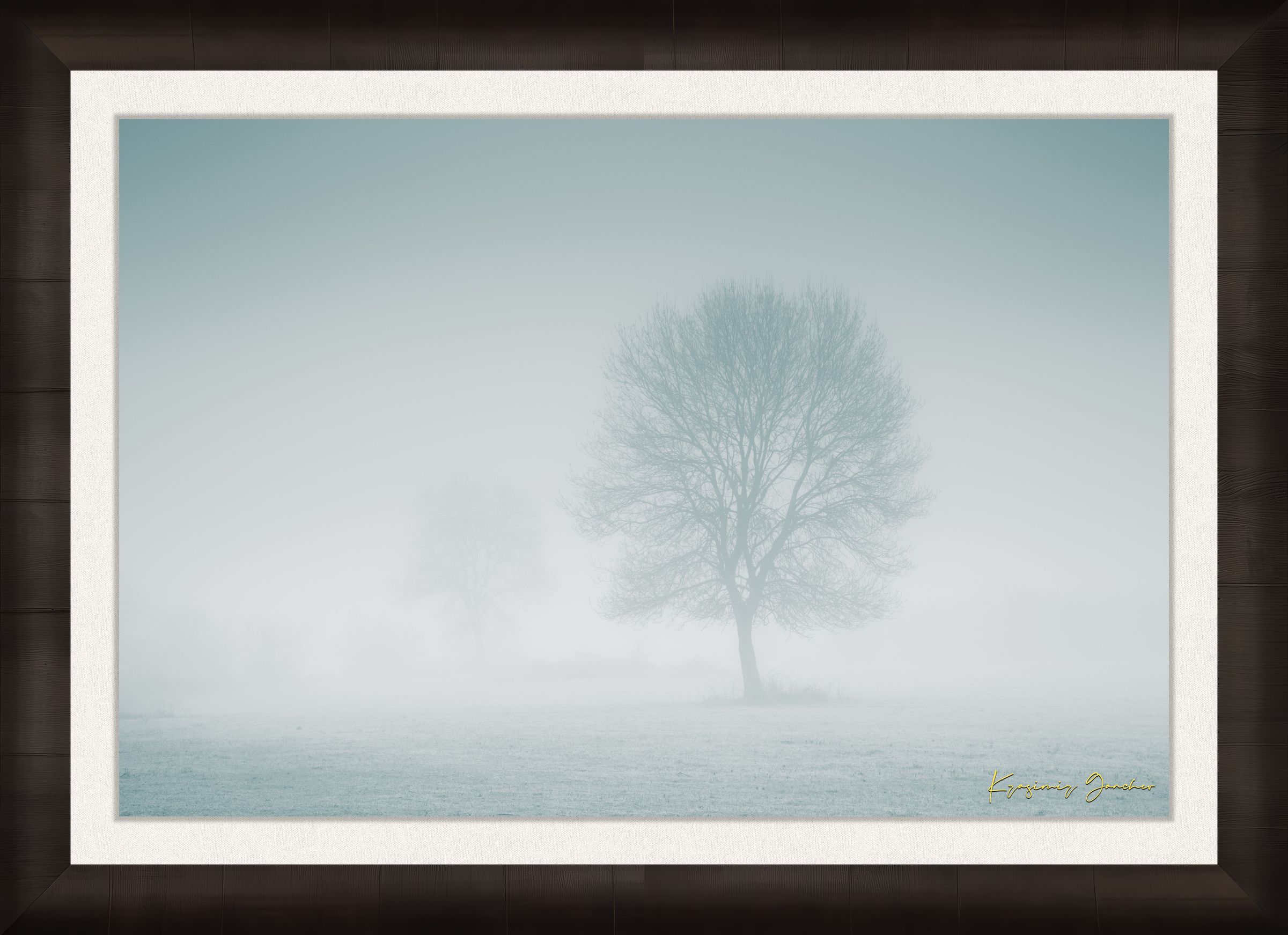 Solitary tree emerging from fog in Begliktash Valley near Primorsko at dawn. #Finish_Roma Dark Ash Frame & Bright Liner
