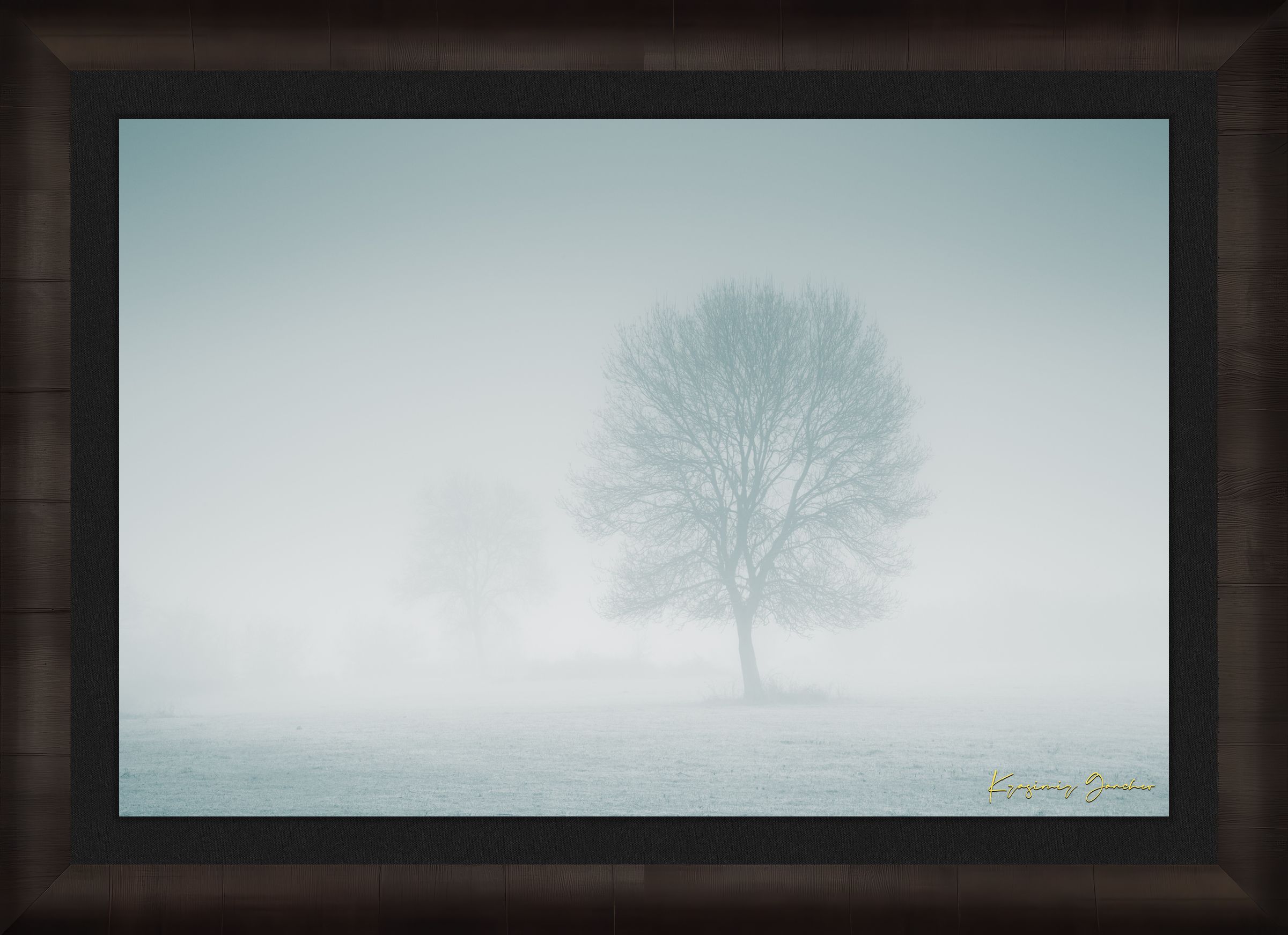 Solitary tree emerging from fog in Begliktash Valley near Primorsko at dawn. #Finish_Roma Dark Ash Frame & Dark Liner