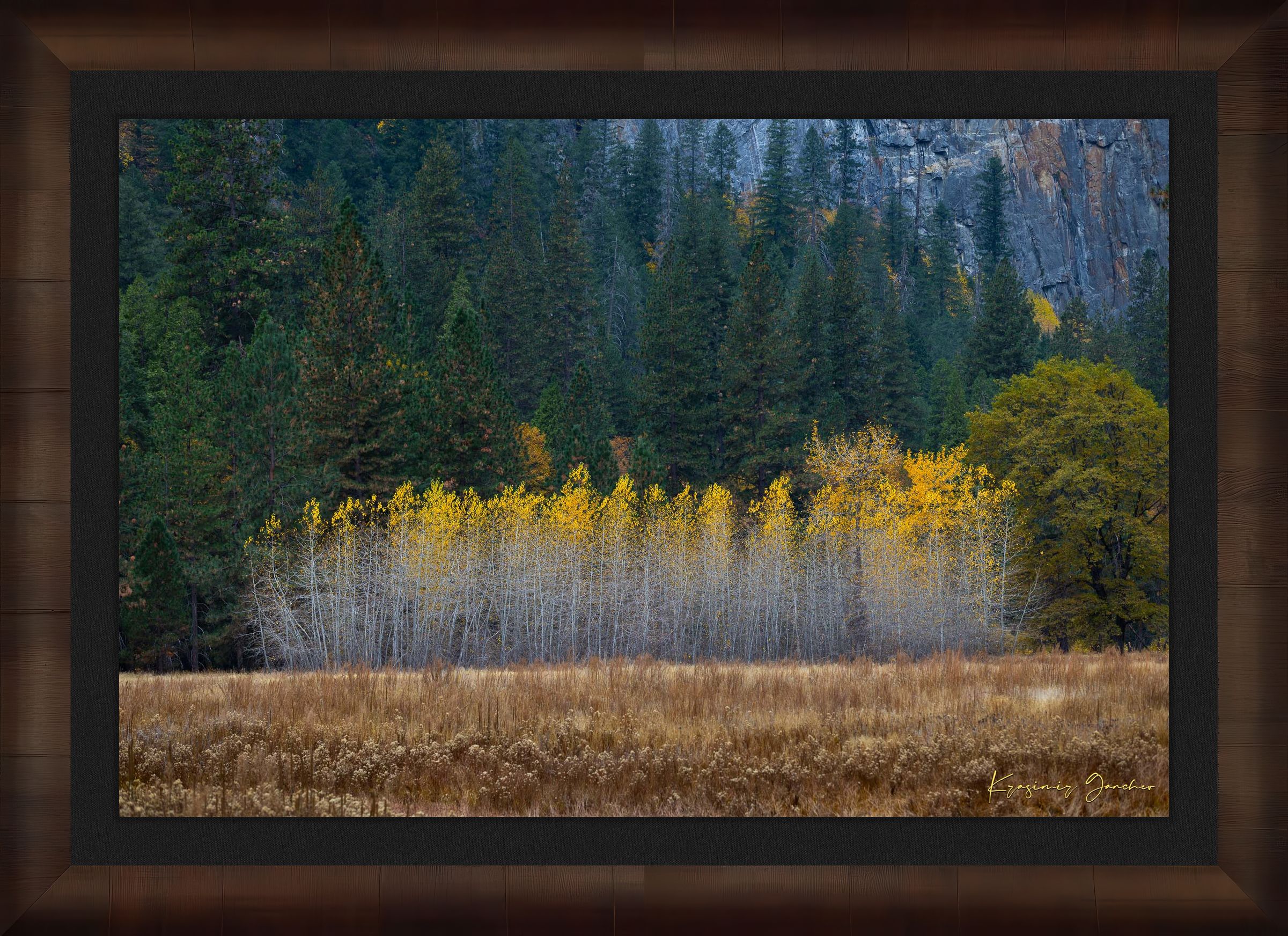 Yosemite Valley landscape with golden-hued trees under clear skies during daytime. #Finish_Roma Cigar Leaf Frame & Dark Liner