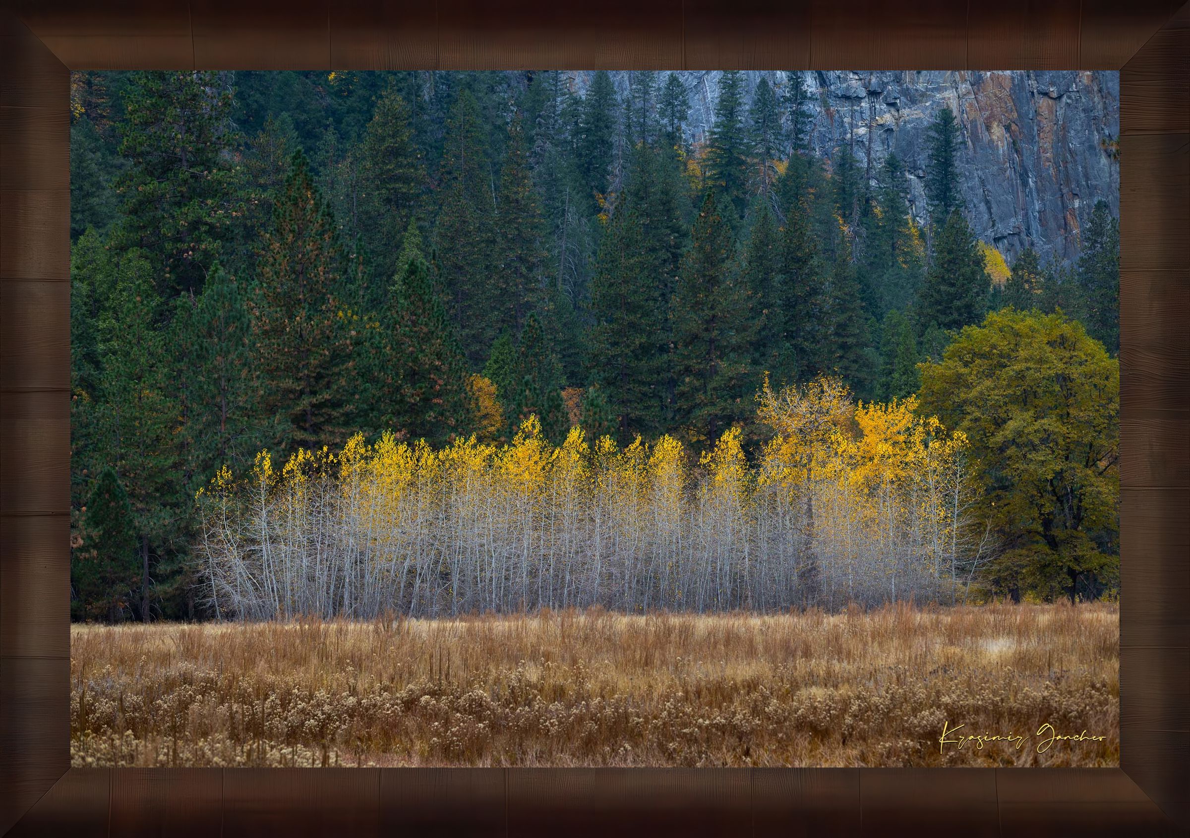 Yosemite Valley landscape with golden-hued trees under clear skies during daytime. #Finish_Roma Cigar Leaf Frame