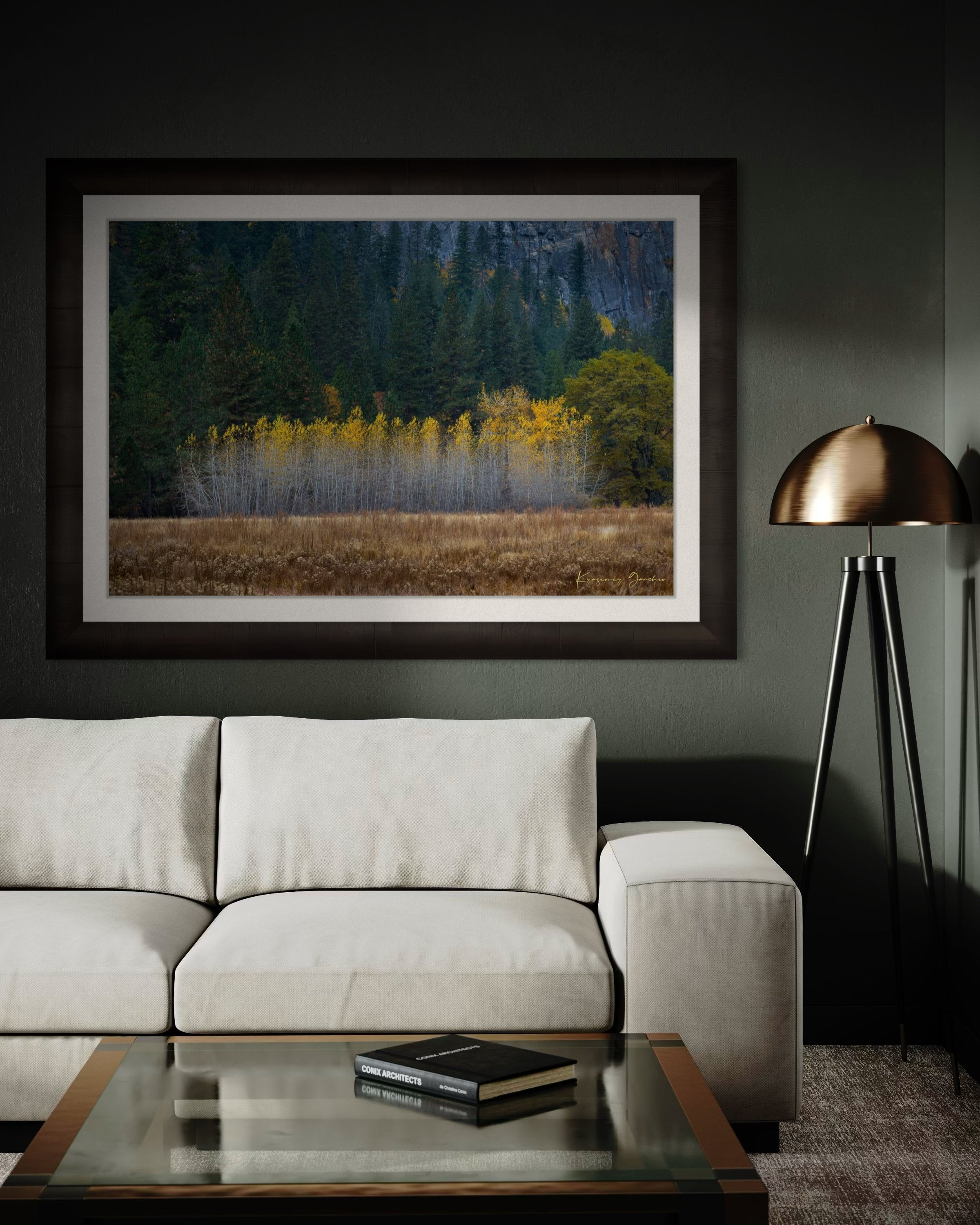 Yosemite Valley landscape with golden-hued trees under clear skies during daytime. #Finish_Roma Dark Ash Frame & Bright Liner