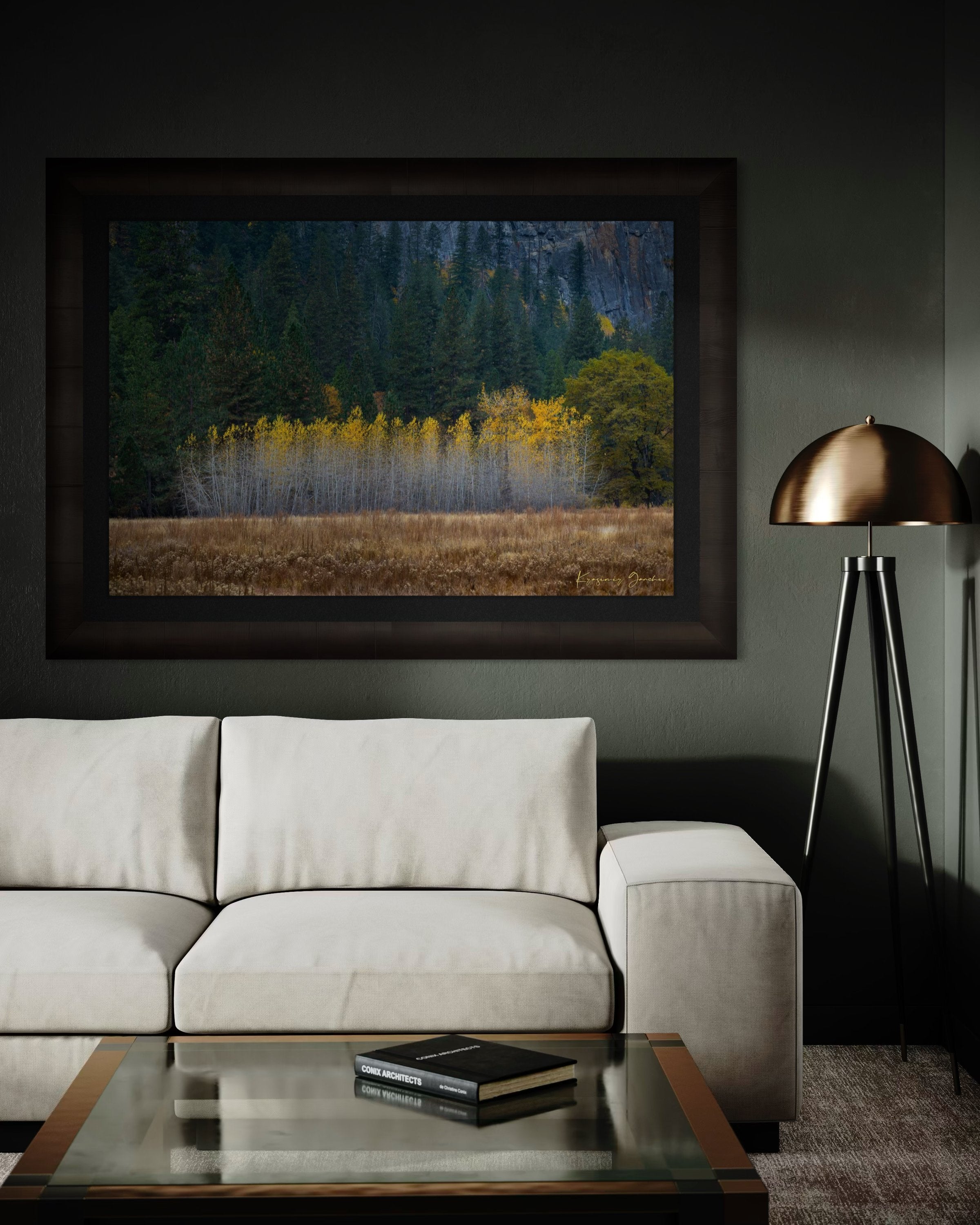 Yosemite Valley landscape with golden-hued trees under clear skies during daytime. #Finish_Roma Dark Ash Frame & Dark Liner