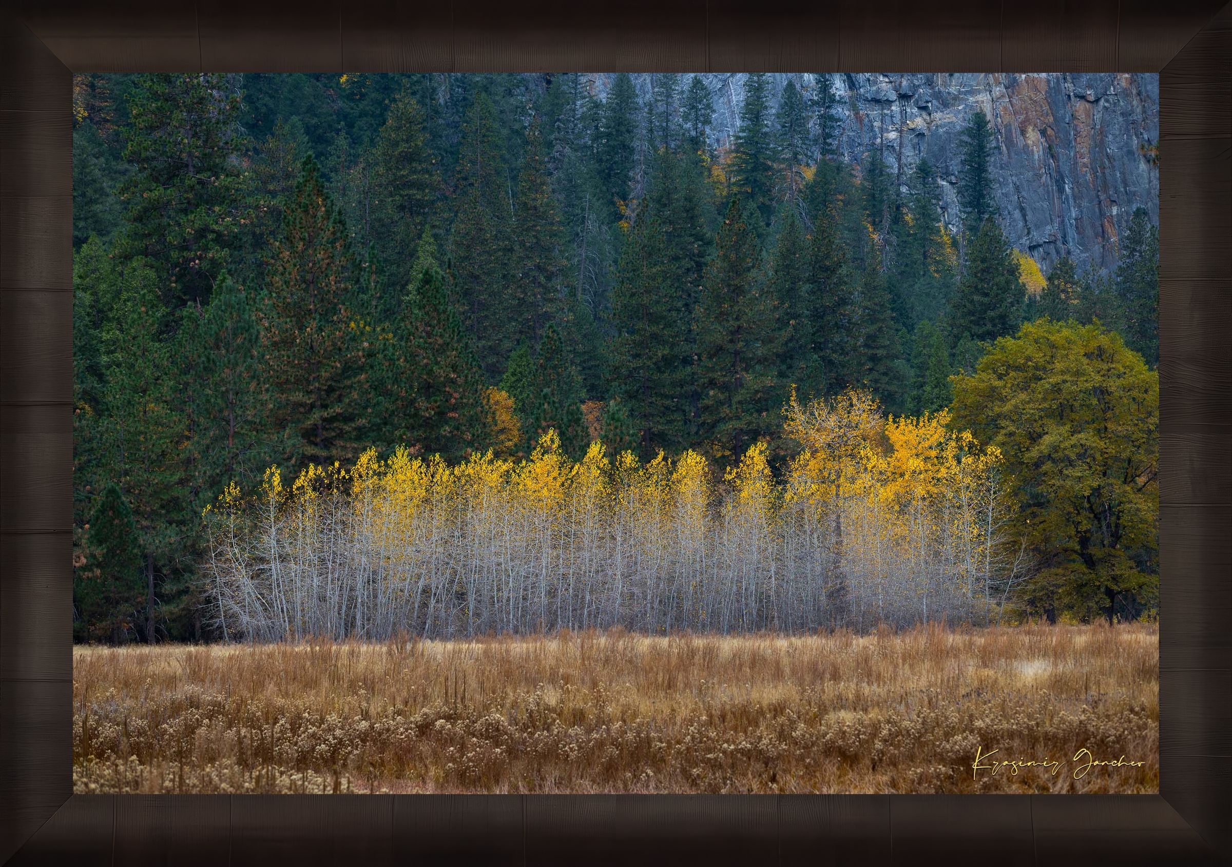 Yosemite Valley landscape with golden-hued trees under clear skies during daytime. #Finish_Roma Dark Ash Frame