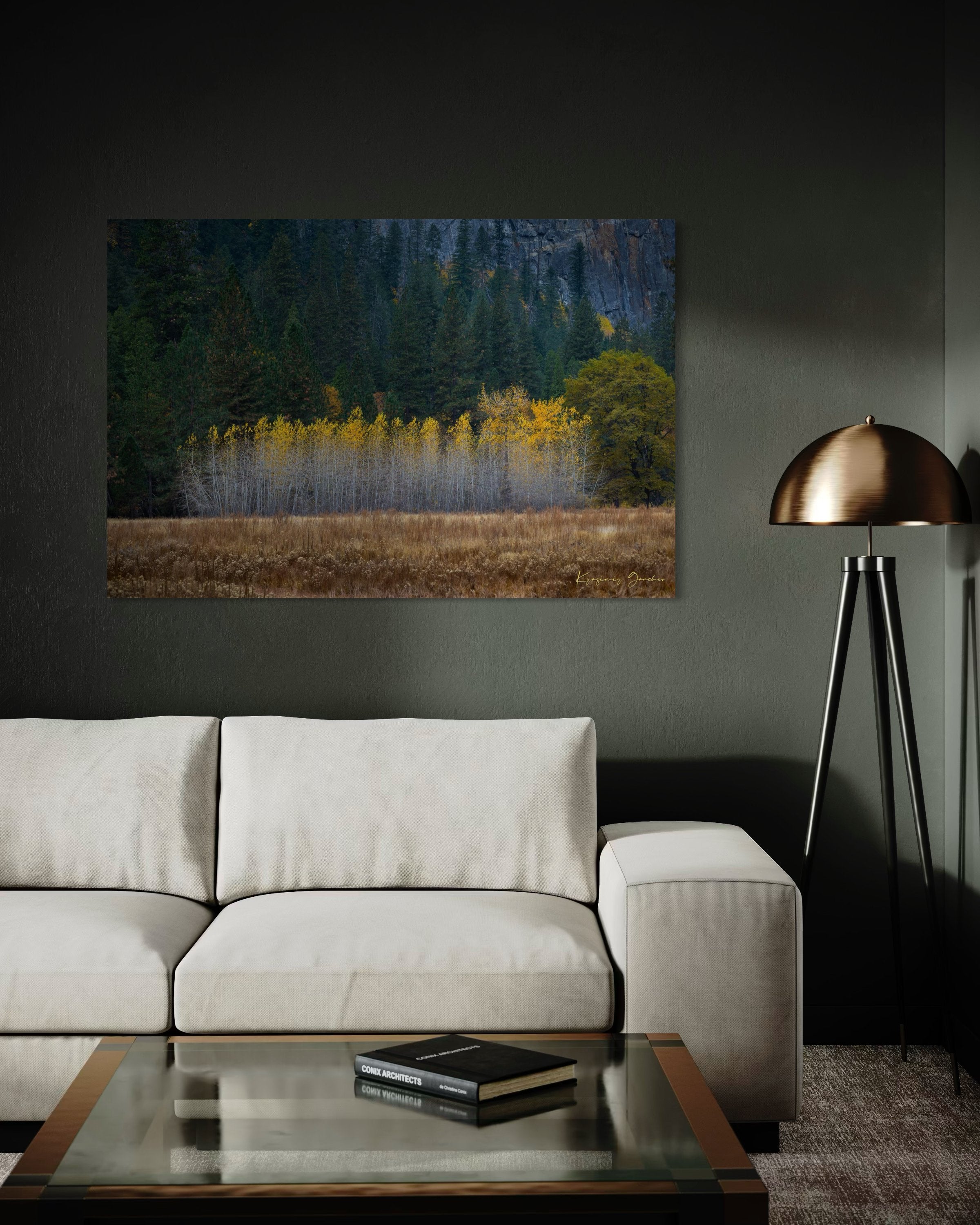 Yosemite Valley landscape with golden-hued trees under clear skies during daytime. #Finish_Acrylic Recess