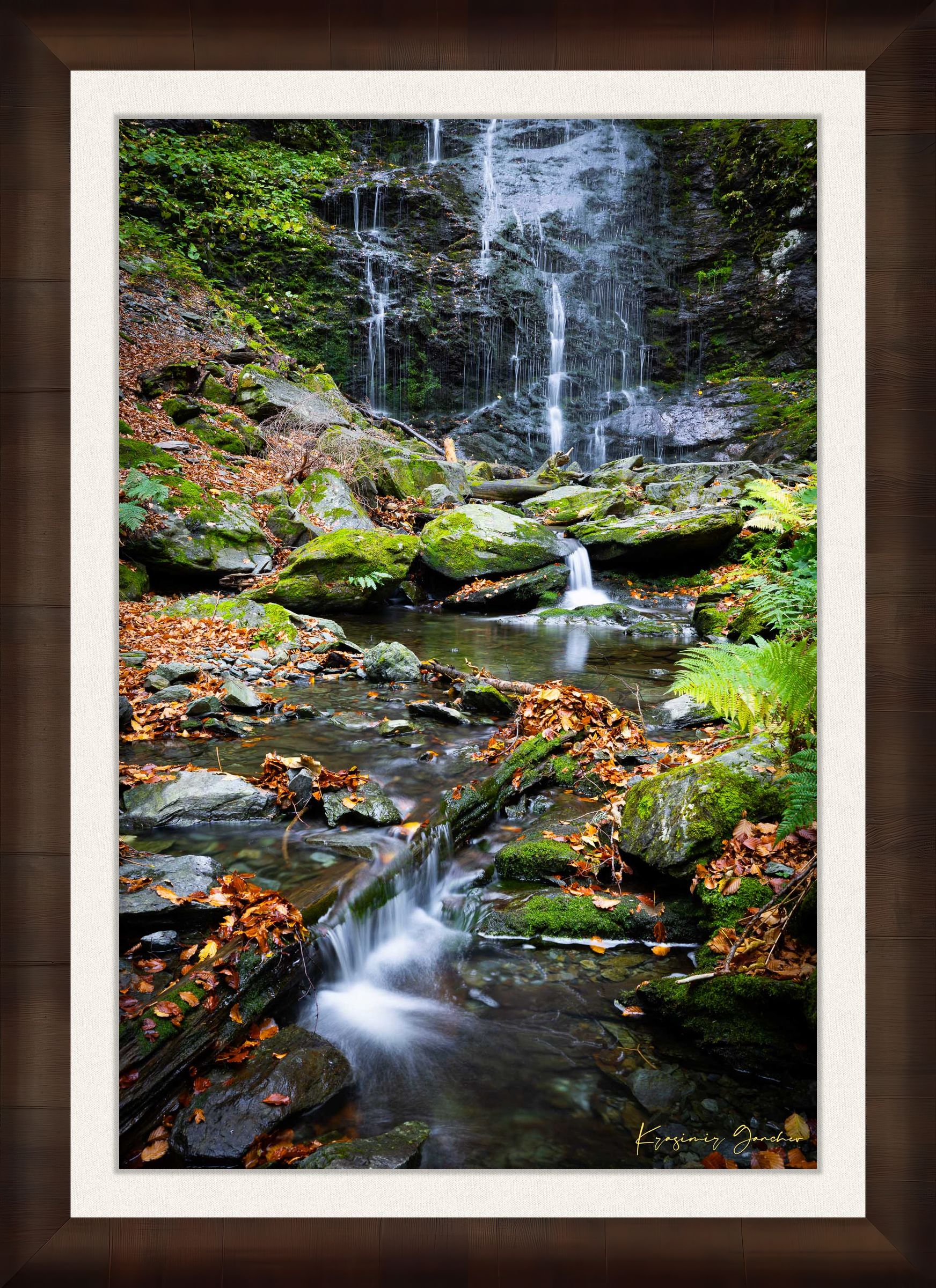 Waterfall flowing through mossy stones and fallen leaves in an autumnal forest within Stara Reka Reserve, Central Balkan National Park. #Finish_Roma Cigar Leaf Frame & Bright Liner