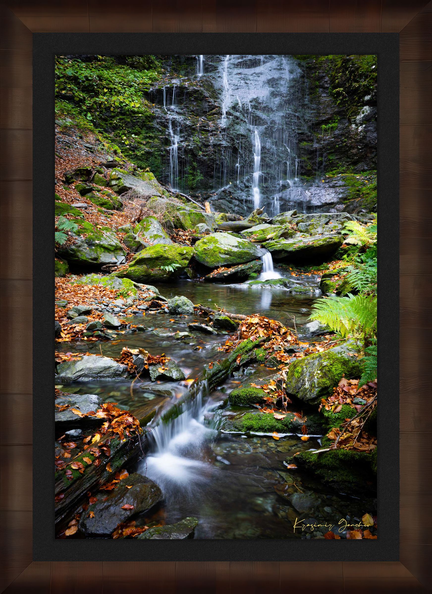Waterfall flowing through mossy stones and fallen leaves in an autumnal forest within Stara Reka Reserve, Central Balkan National Park. #Finish_Roma Cigar Leaf Frame & Dark Liner