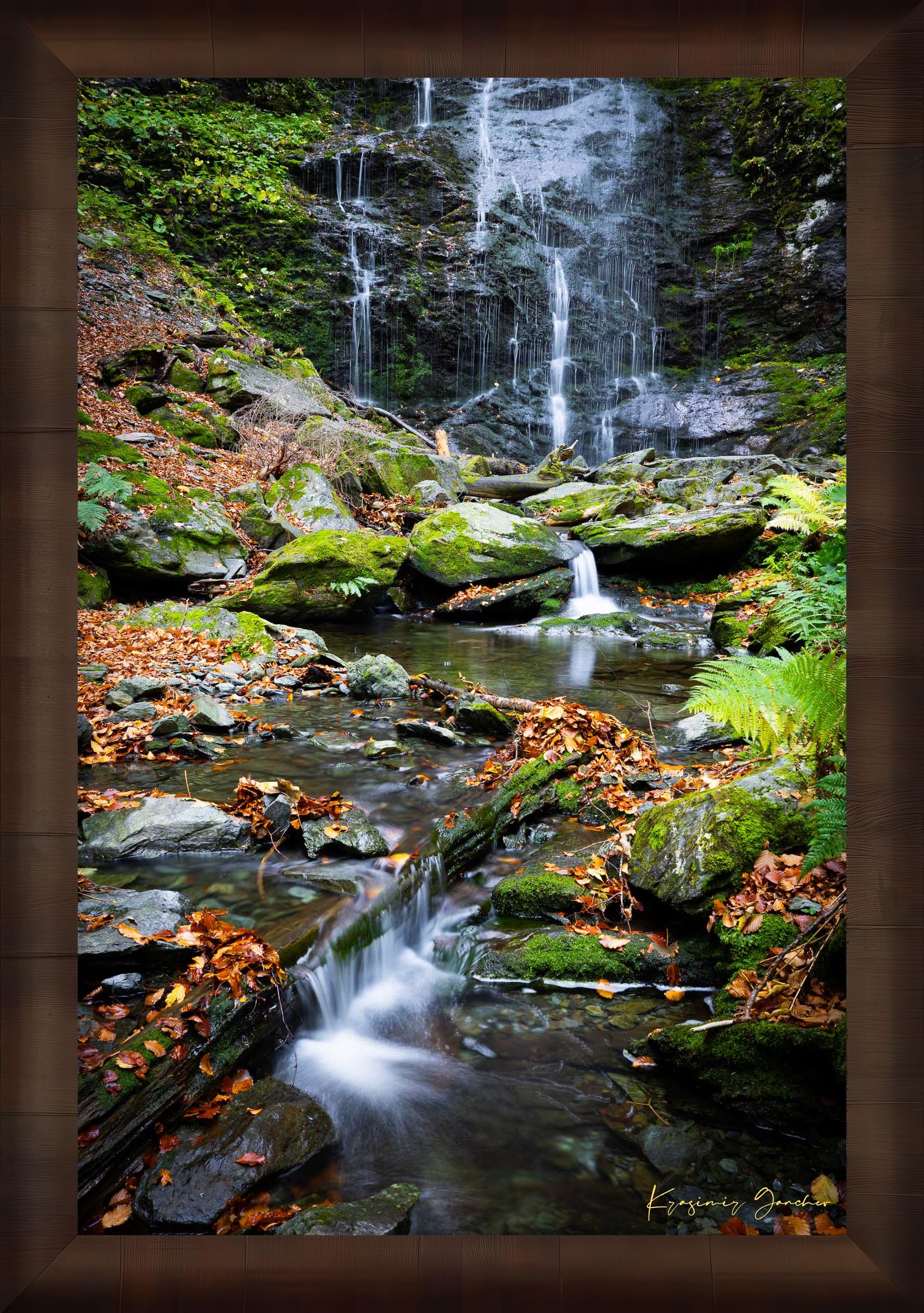 Waterfall flowing through mossy stones and fallen leaves in an autumnal forest within Stara Reka Reserve, Central Balkan National Park. #Finish_Roma Cigar Leaf Frame