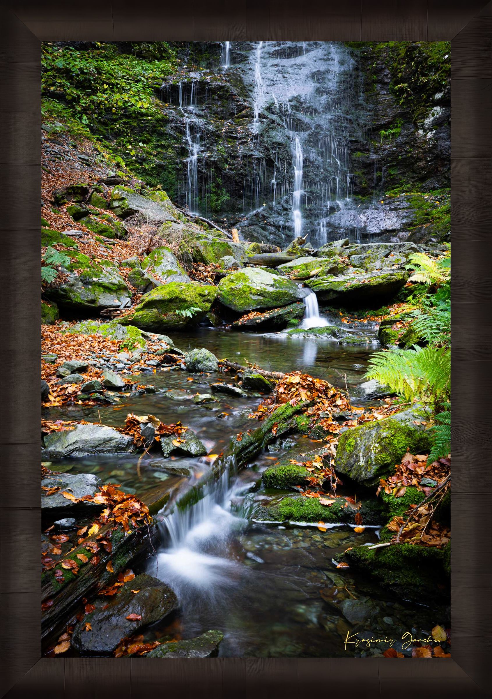 Waterfall flowing through mossy stones and fallen leaves in an autumnal forest within Stara Reka Reserve, Central Balkan National Park. #Finish_Roma Dark Ash Frame