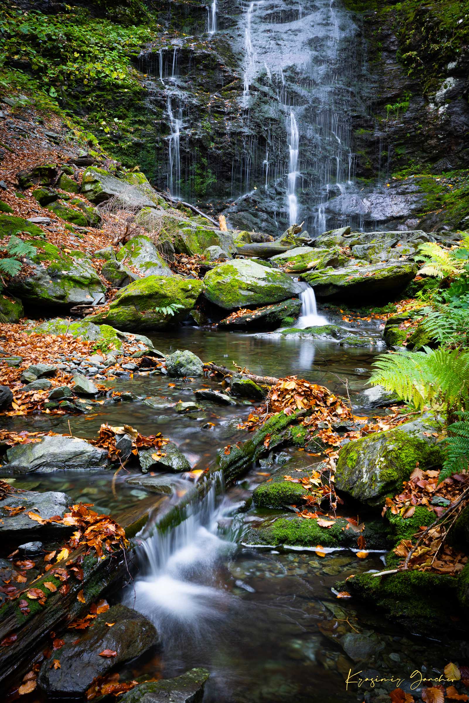 Waterfall flowing through mossy stones and fallen leaves in an autumnal forest within Stara Reka Reserve, Central Balkan National Park. #Finish_Acrylic Recess