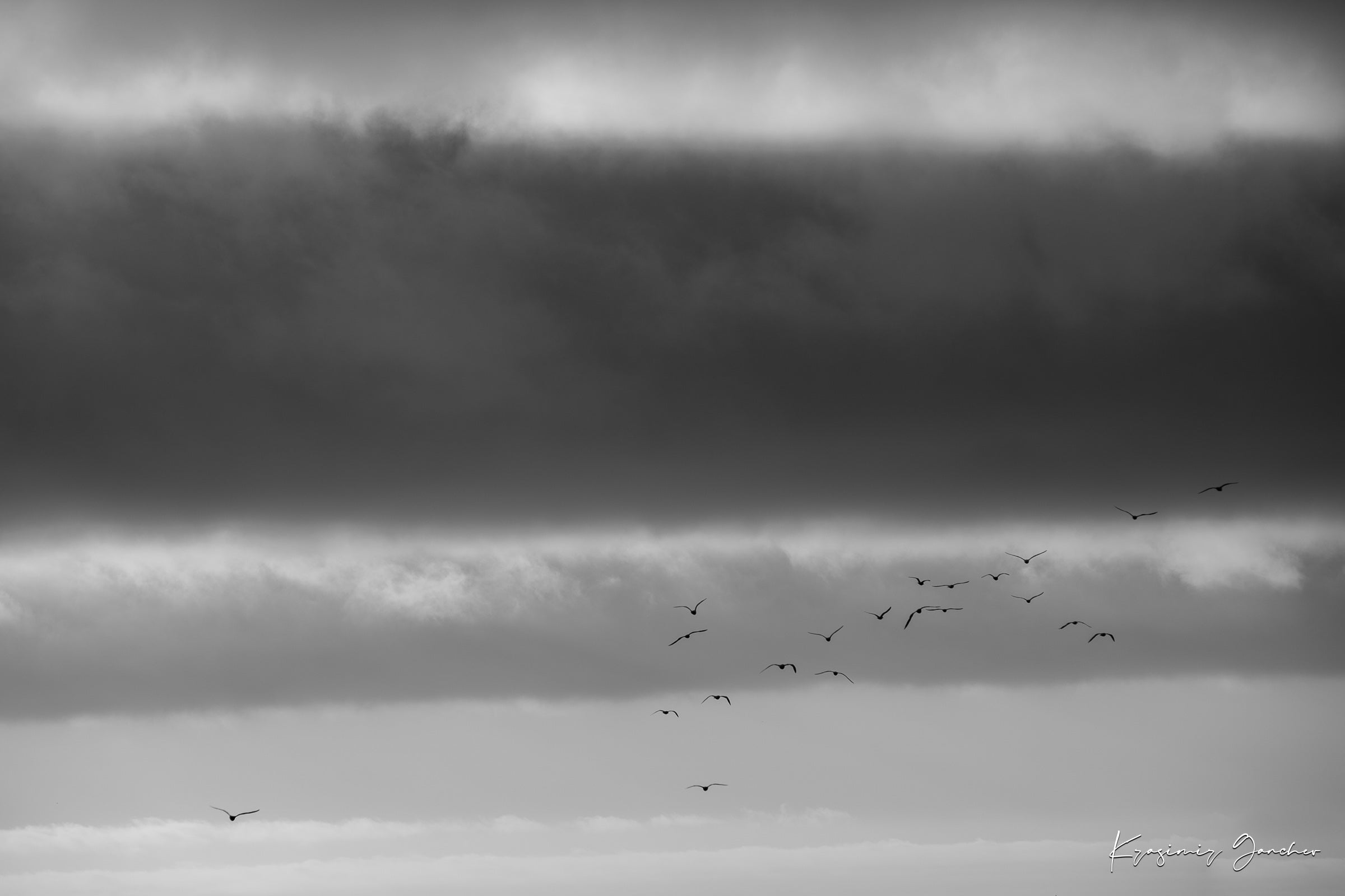 Big Sur landscape under daytime clouds showing a wide sky and distant movement of birds across open terrain. #Finish_Acrylic Recess